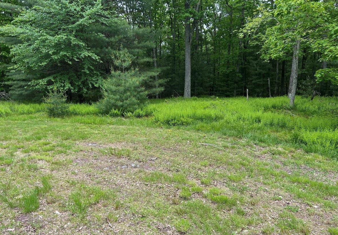 Lot 45 Split Rock Drive Property Photo 1