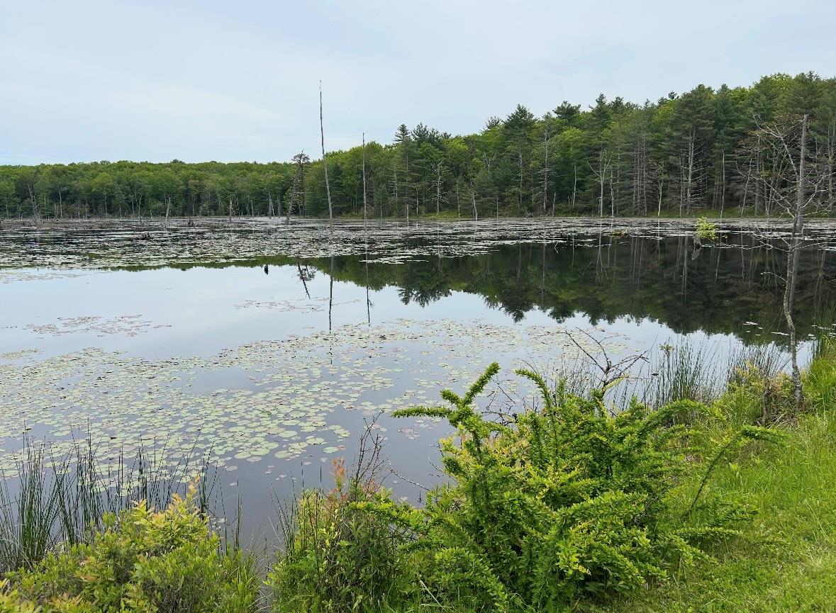 Lot 45 Split Rock Drive Property Photo 2