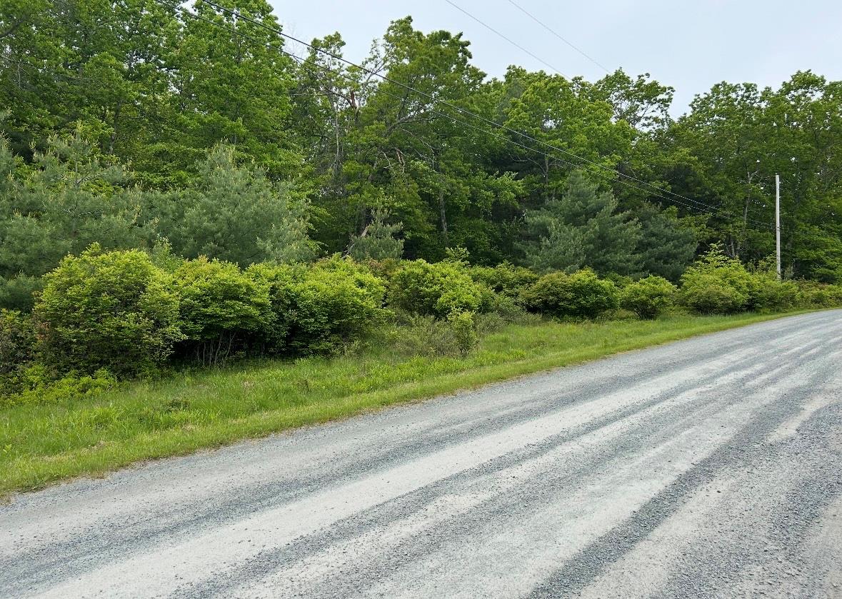 Lot 45 Split Rock Drive Property Photo 3
