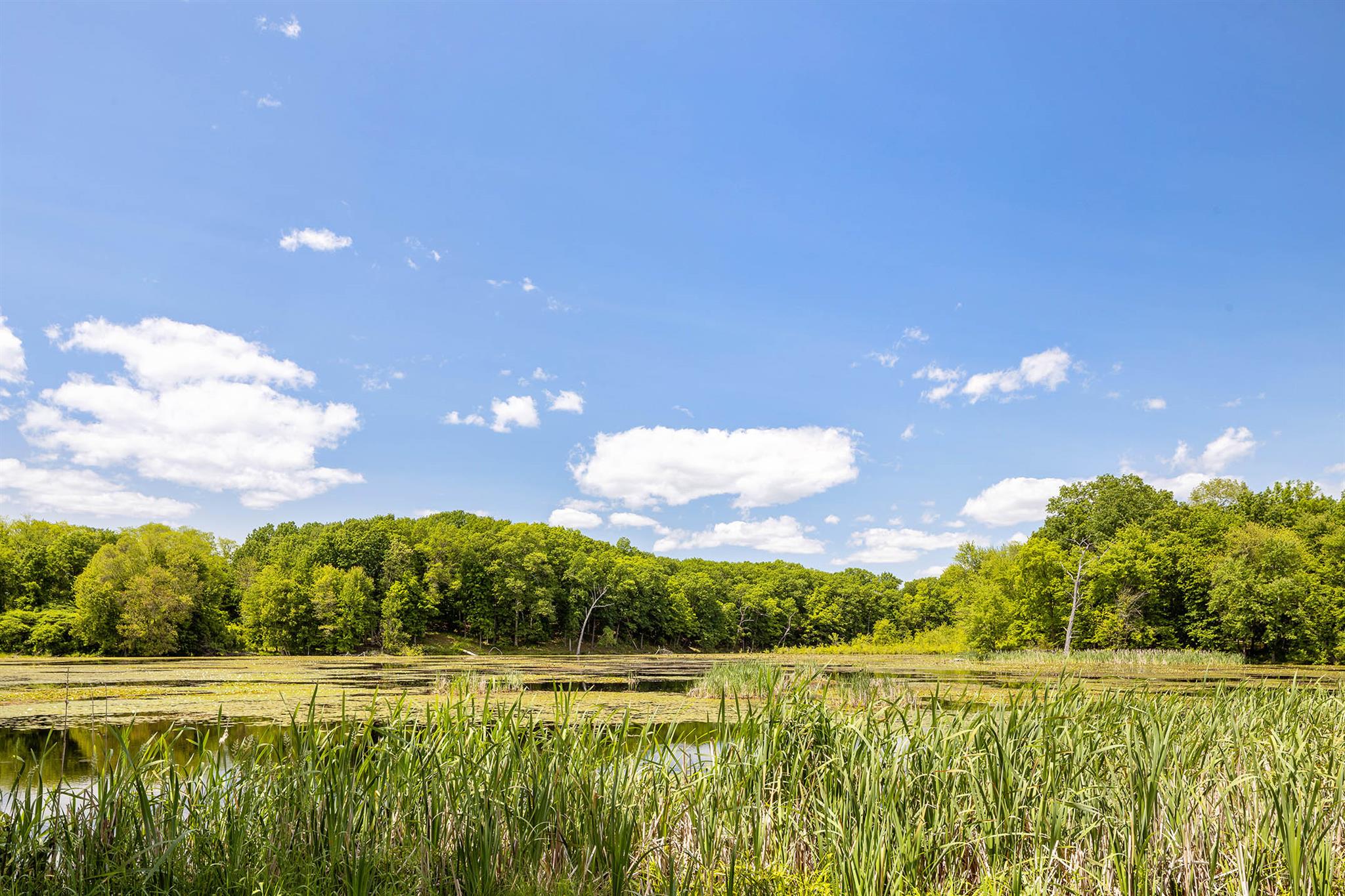 1049 County Route 19 Property Photo 15