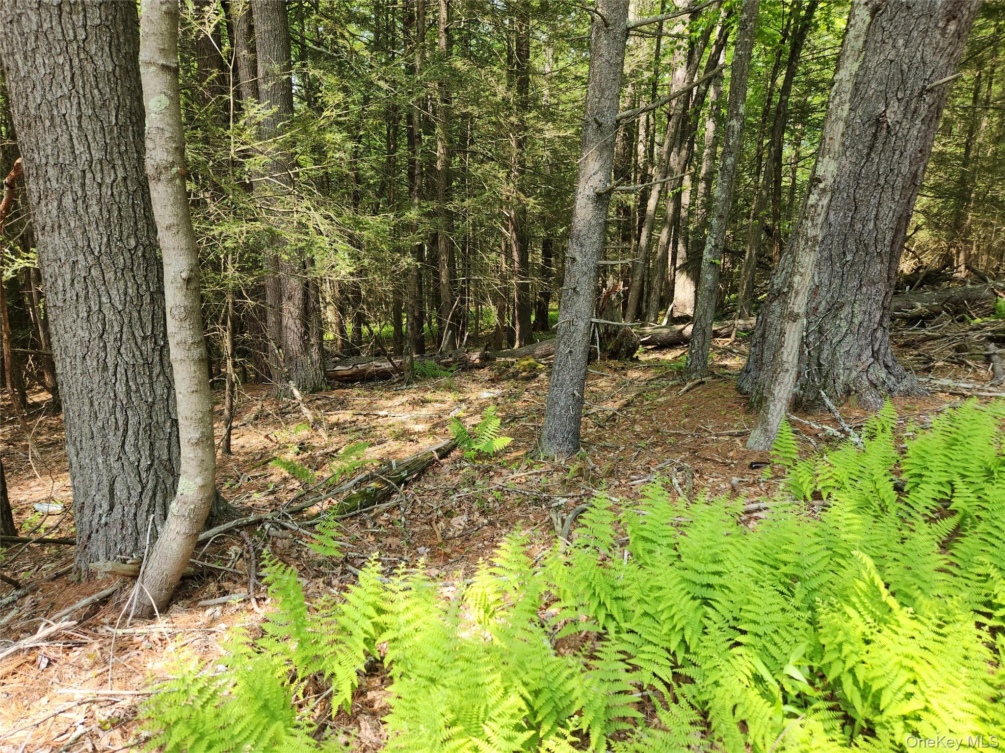 Highland Lake Property Photo 1