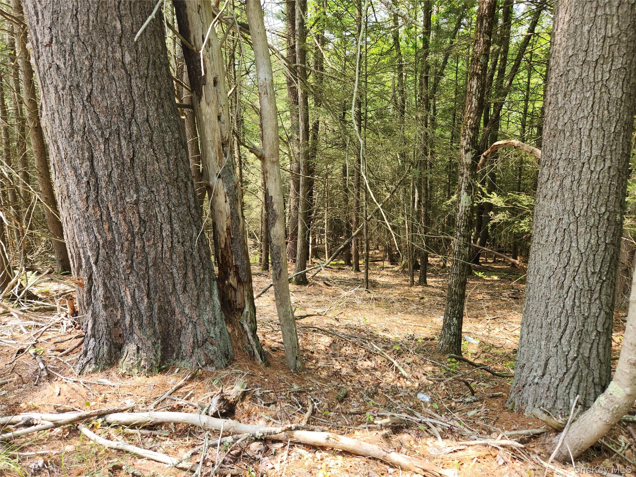 Highland Lake Property Photo 2