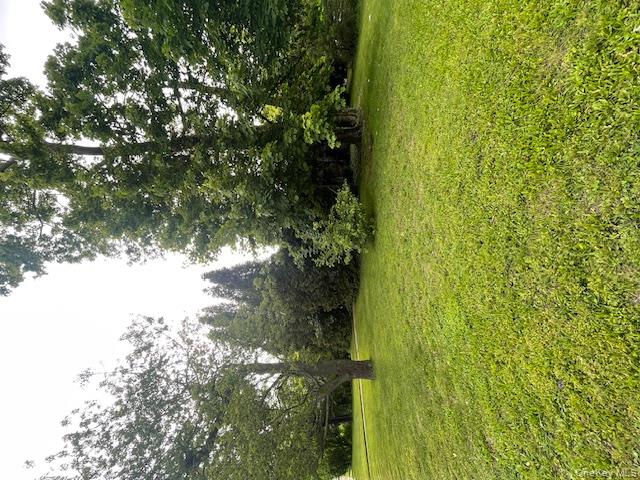230 Park Avenue Property Photo 21