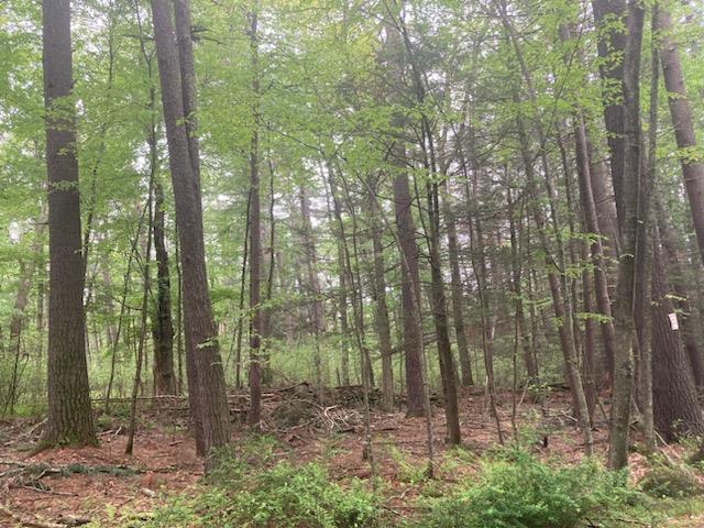 Belair Road Property Photo 1