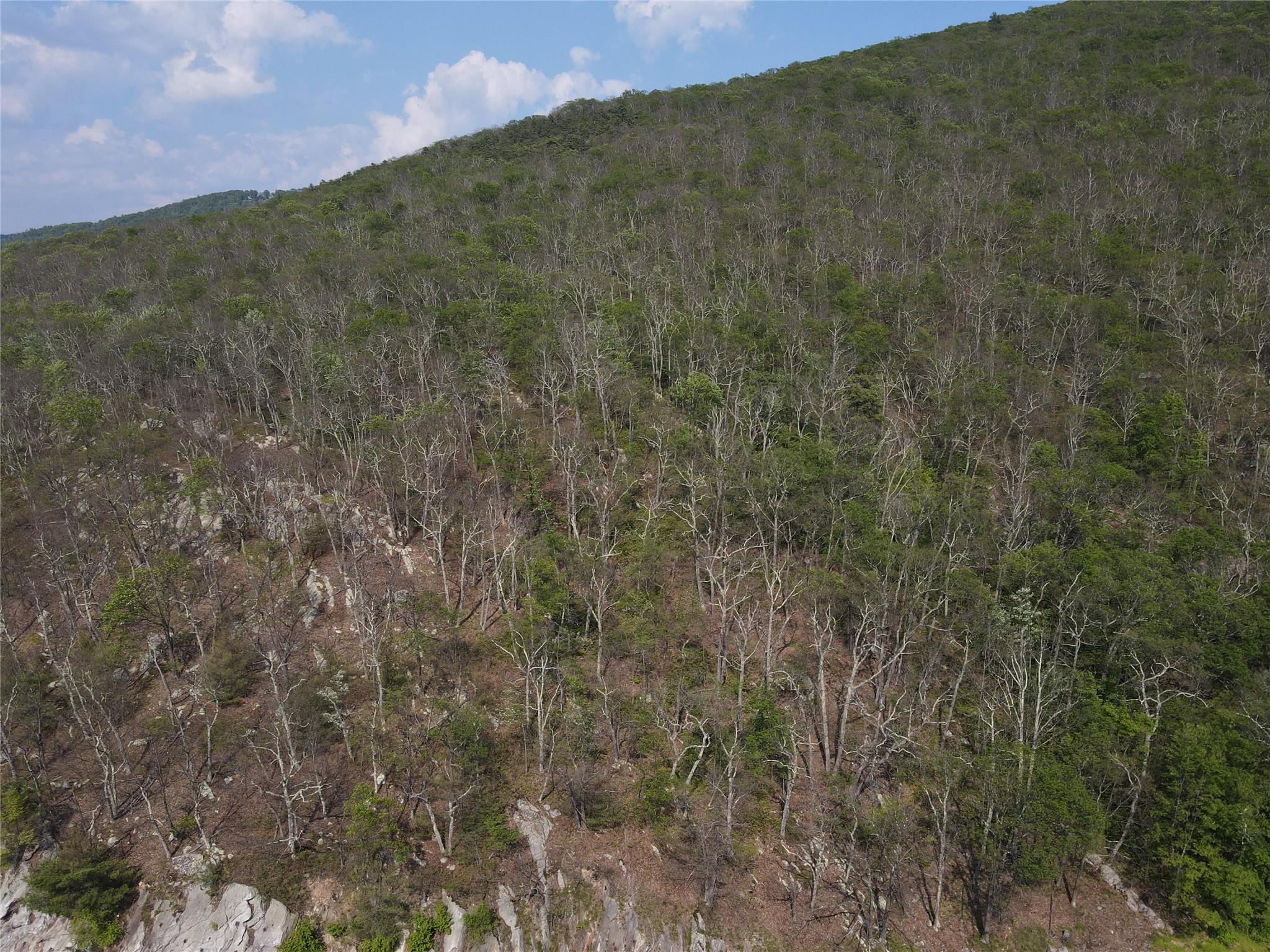 Route 52 Property Photo 2
