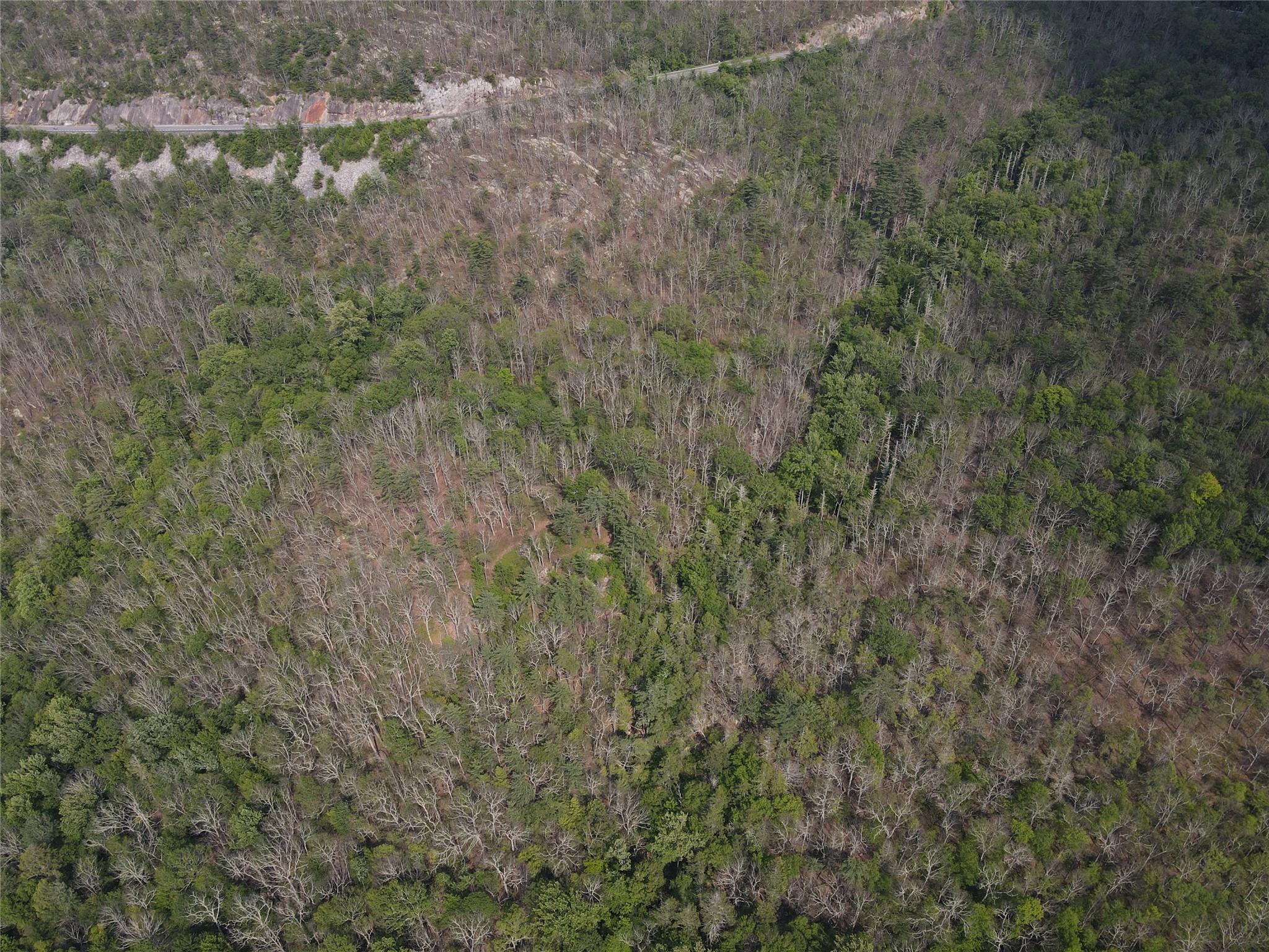 Route 52 Property Photo 10