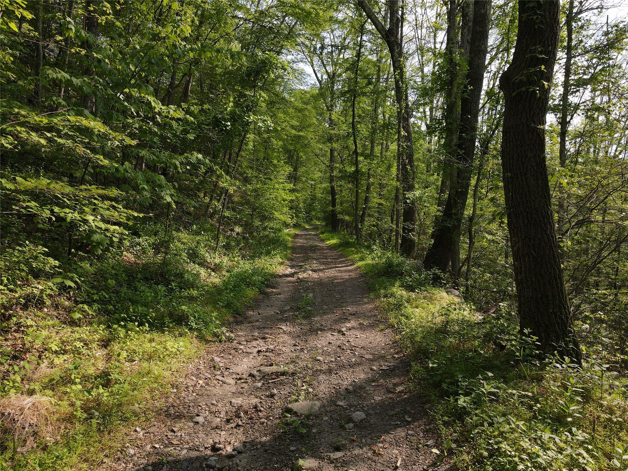 Route 52 Property Photo 18