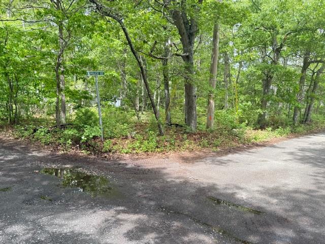 62 Shore Road Property Photo 2