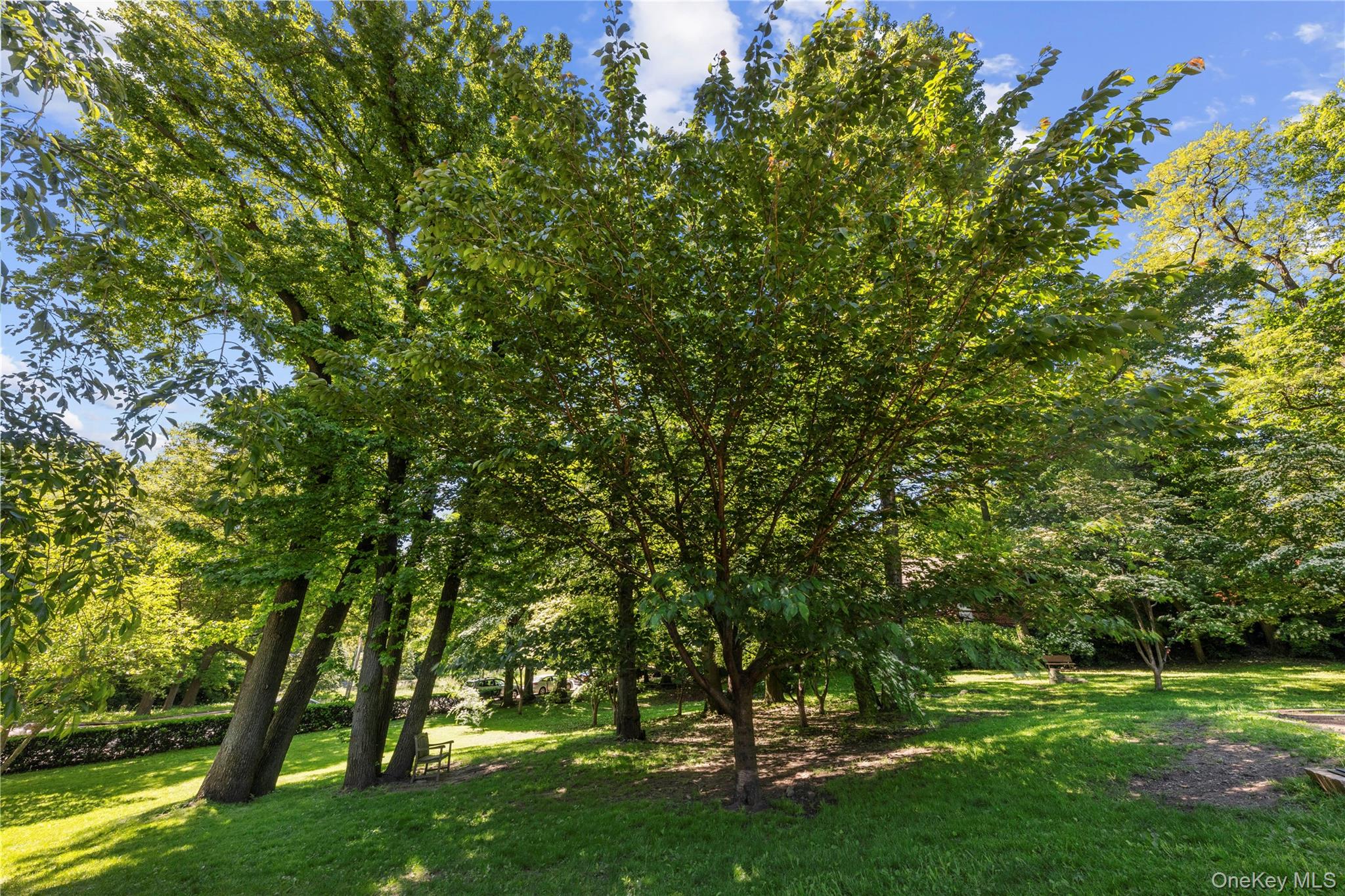 5355 Henry Hudson Parkway 4g Property Photo 15