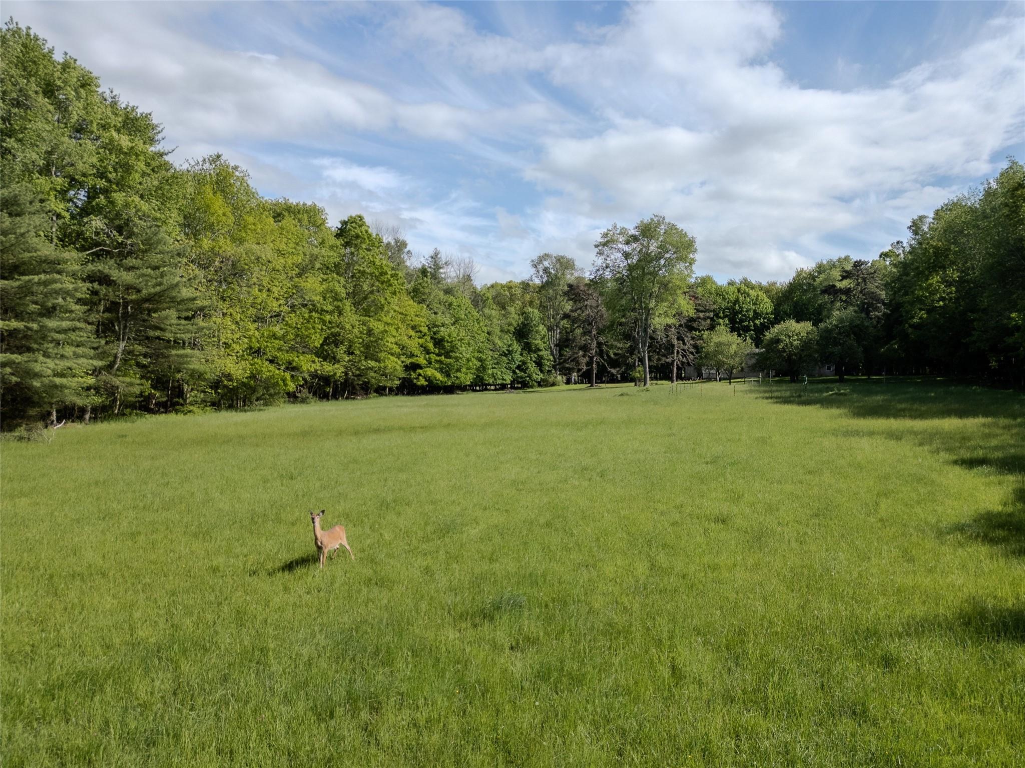 763 County Road 114 Property Photo 17