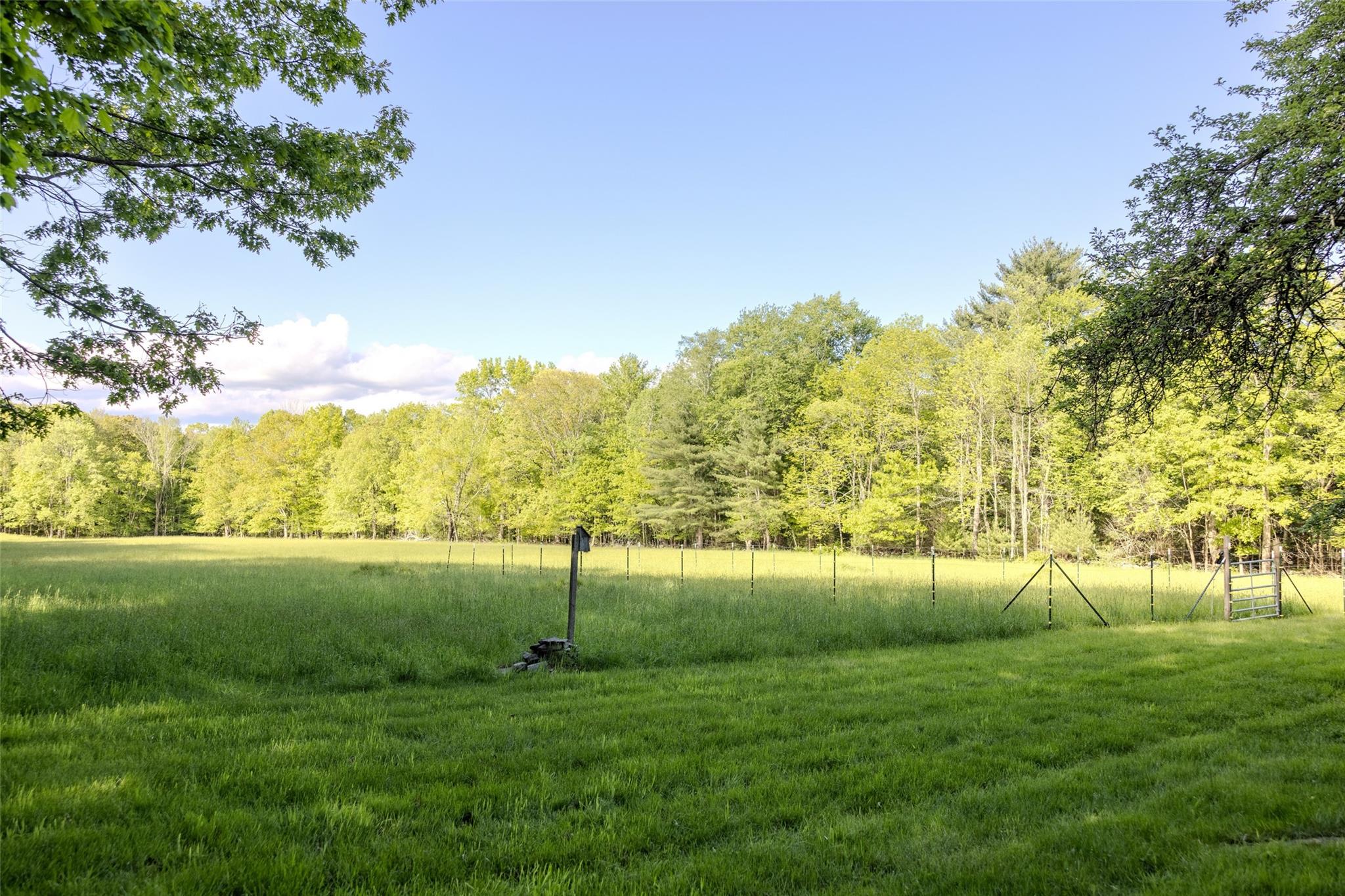 763 County Road 114 Property Photo 21