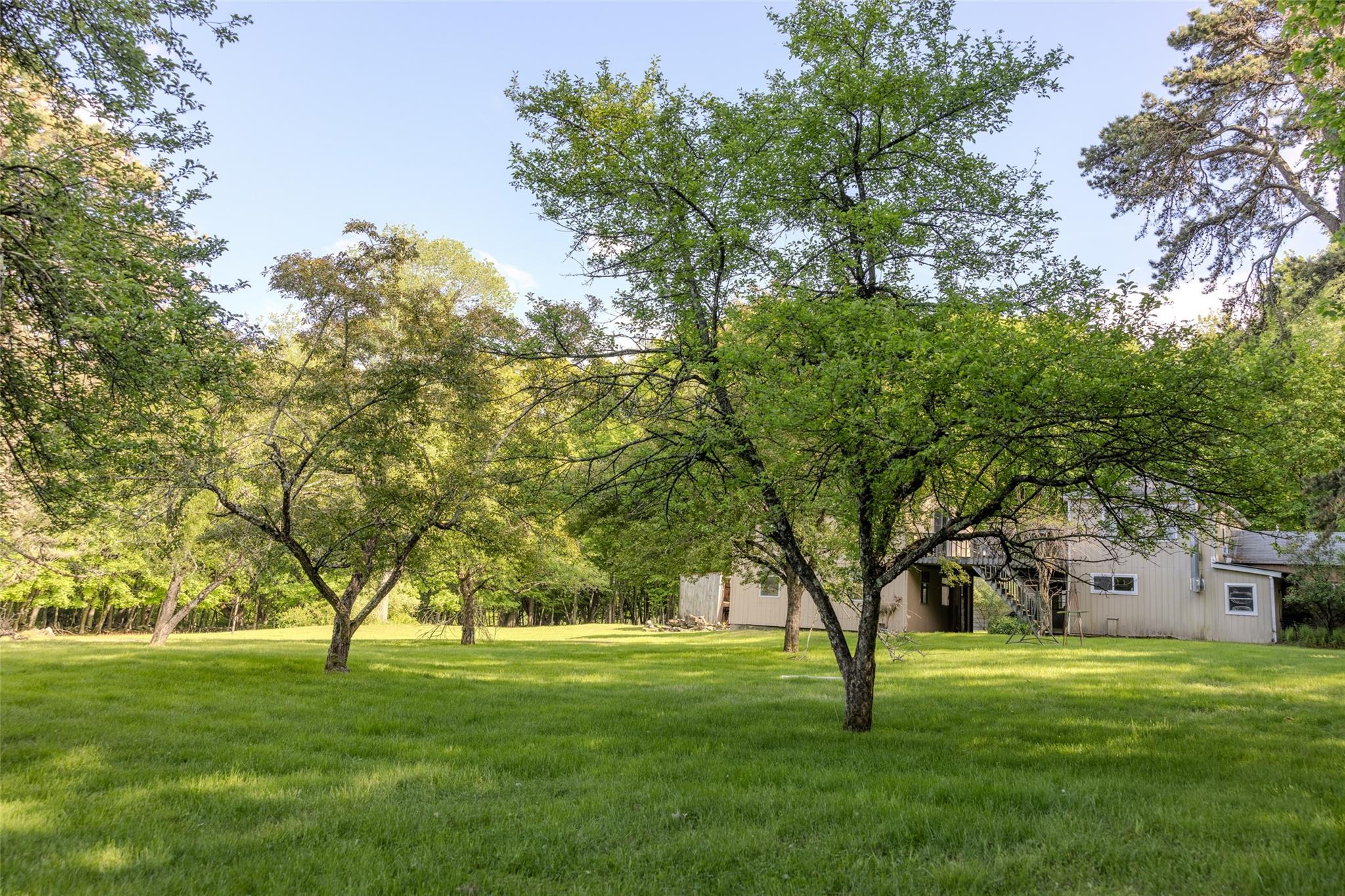763 County Road 114 Property Photo 22