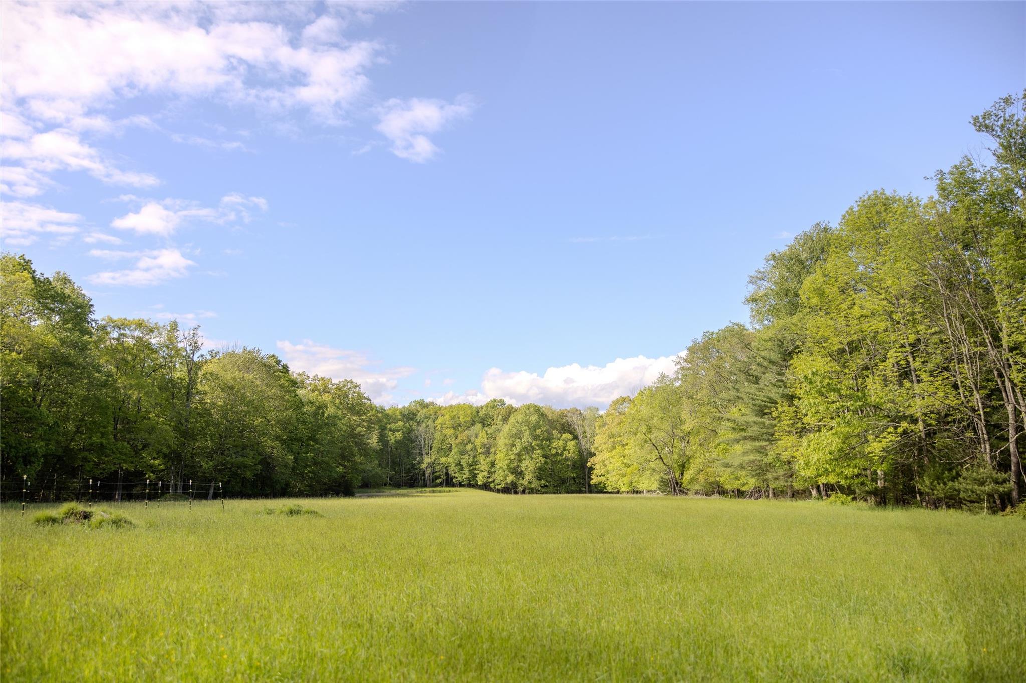 763 County Road 114 Property Photo 24