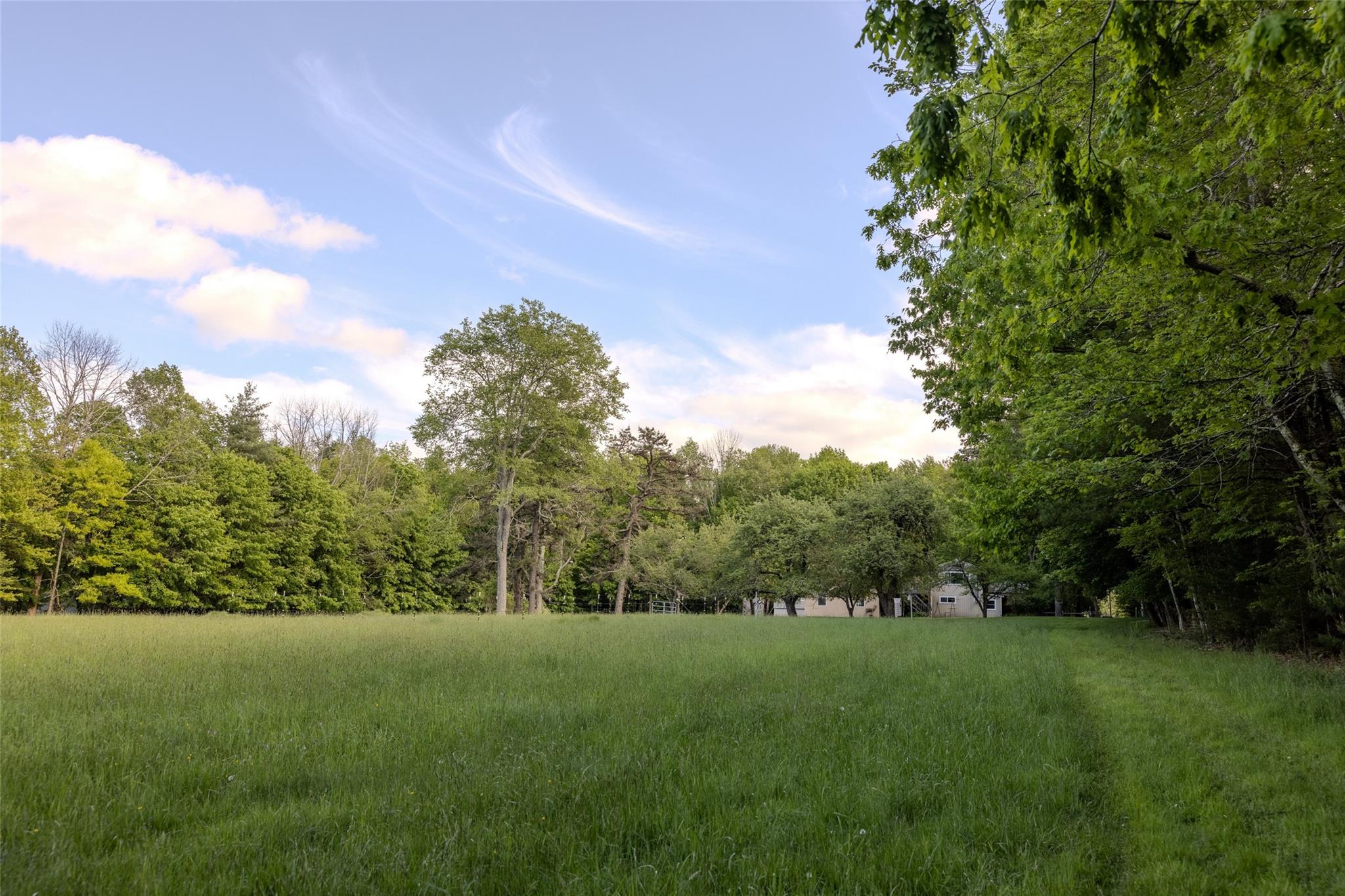 763 County Road 114 Property Photo 26