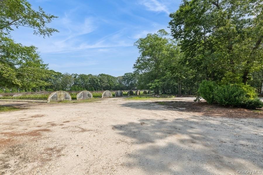 550 / 538 Herricks Lane Property Photo 4