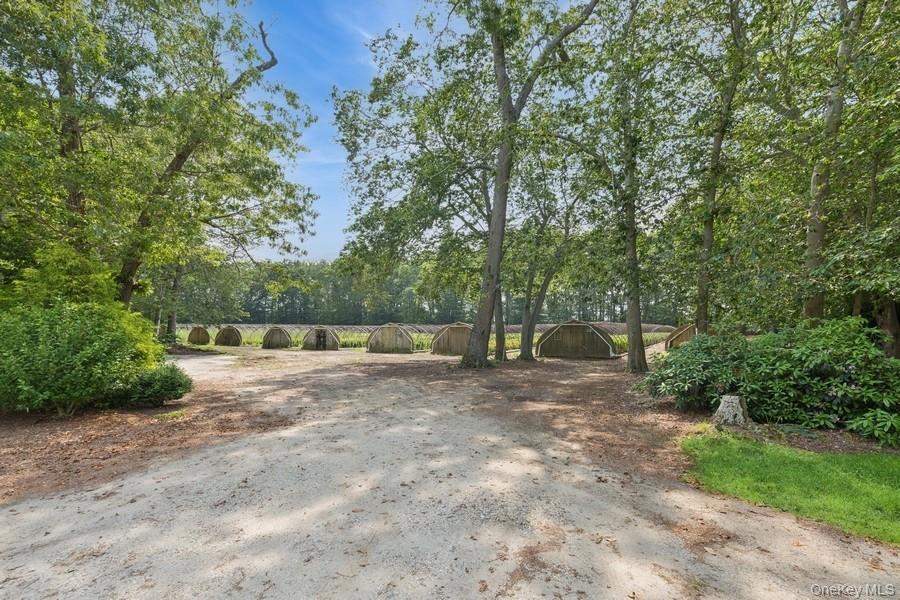 550 / 538 Herricks Lane Property Photo 6