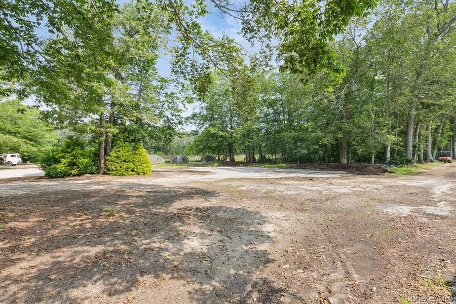 550 / 538 Herricks Lane Property Photo 8