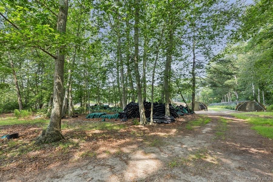 550 / 538 Herricks Lane Property Photo 16