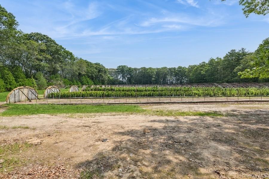 550 / 538 Herricks Lane Property Photo 31