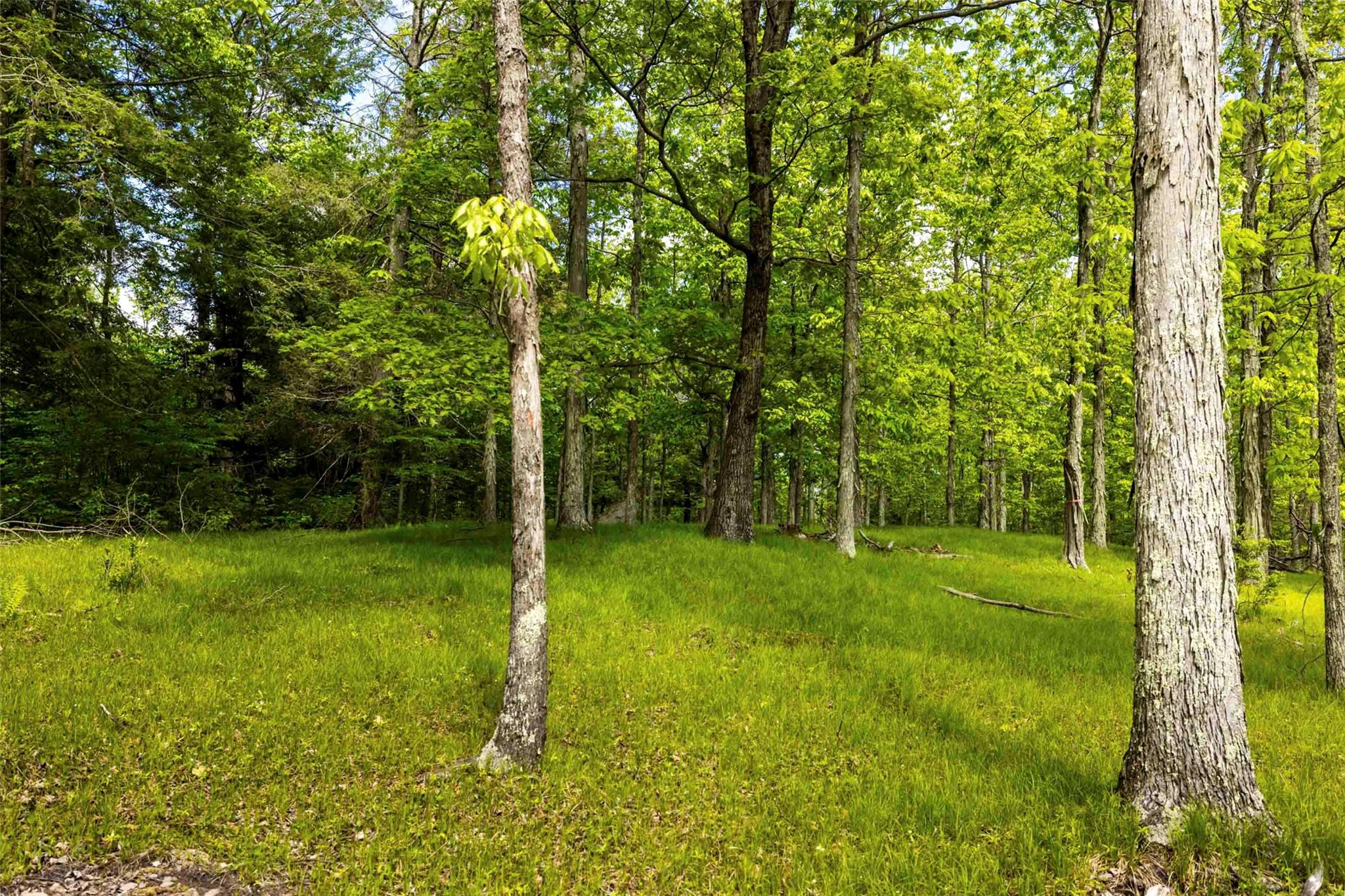 8 Forest Camp Road Property Photo 9