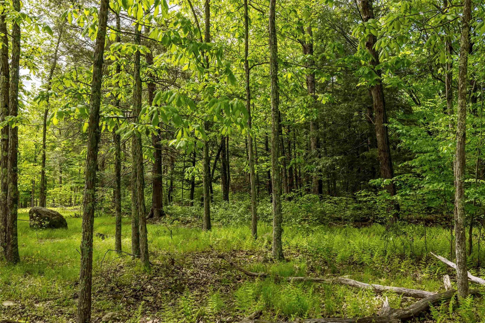 8 Forest Camp Road Property Photo 11