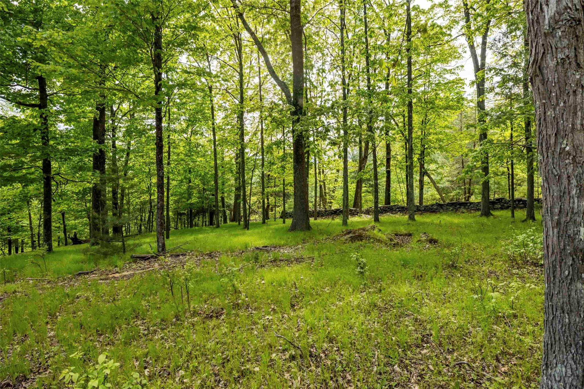 8 Forest Camp Road Property Photo 13