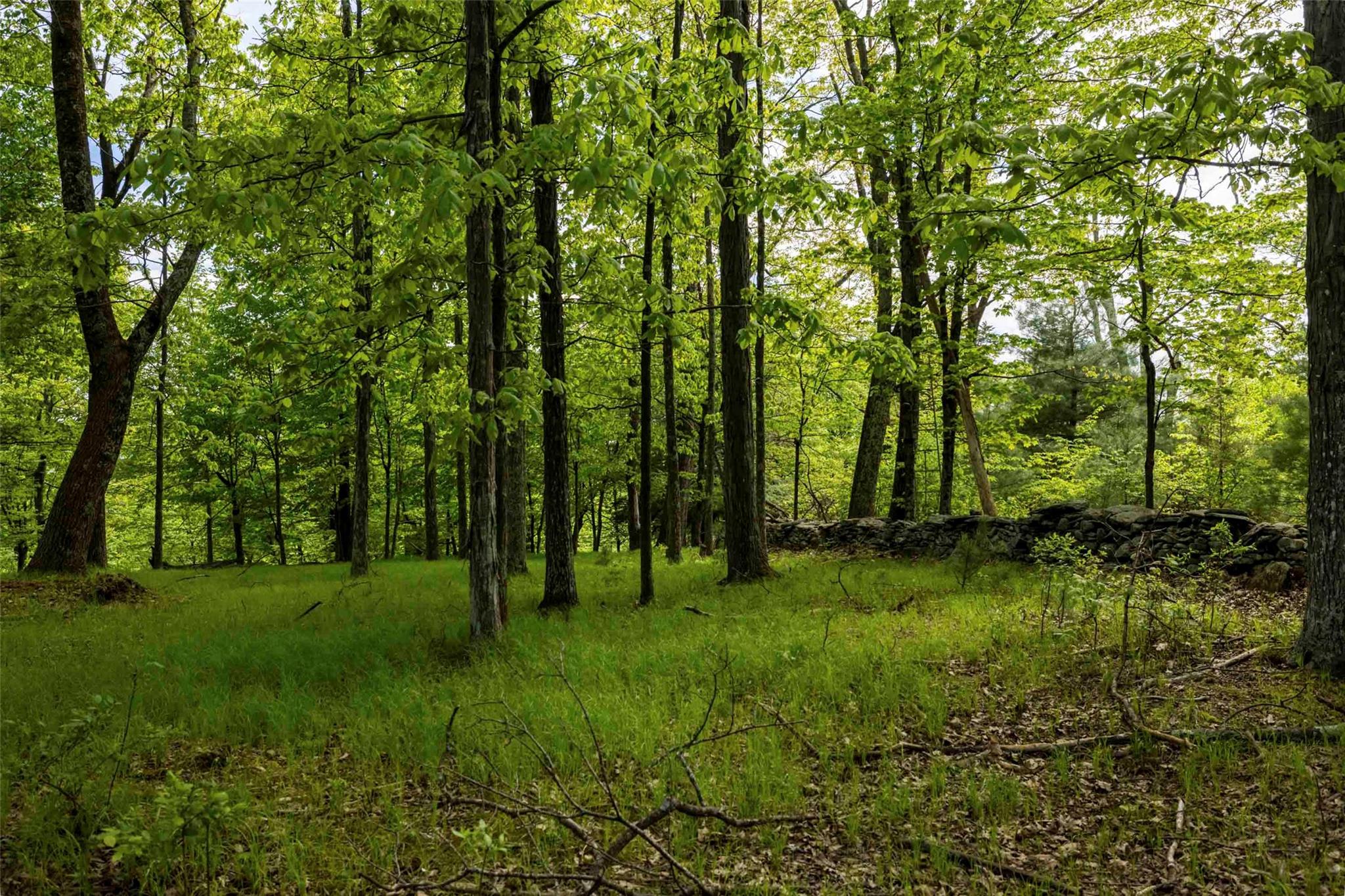 8 Forest Camp Road Property Photo 14