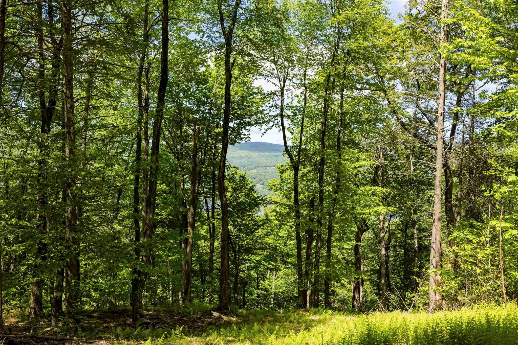 2 Red Rock Road Property Photo 3