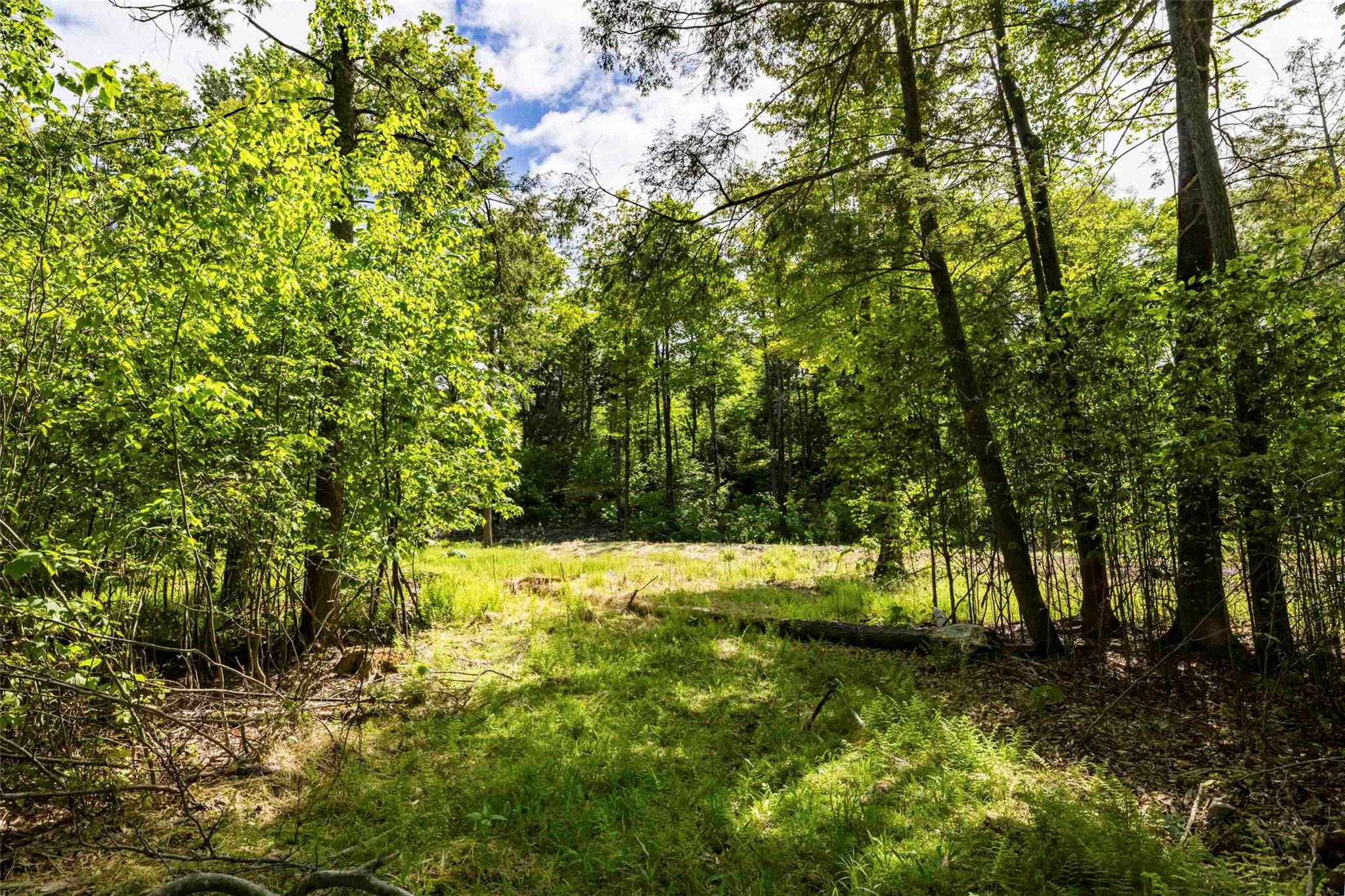 2 Red Rock Road Property Photo 7