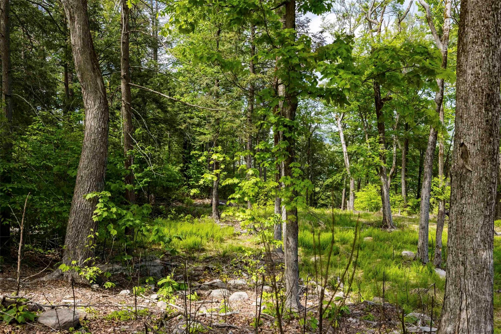 2 Red Rock Road Property Photo 8