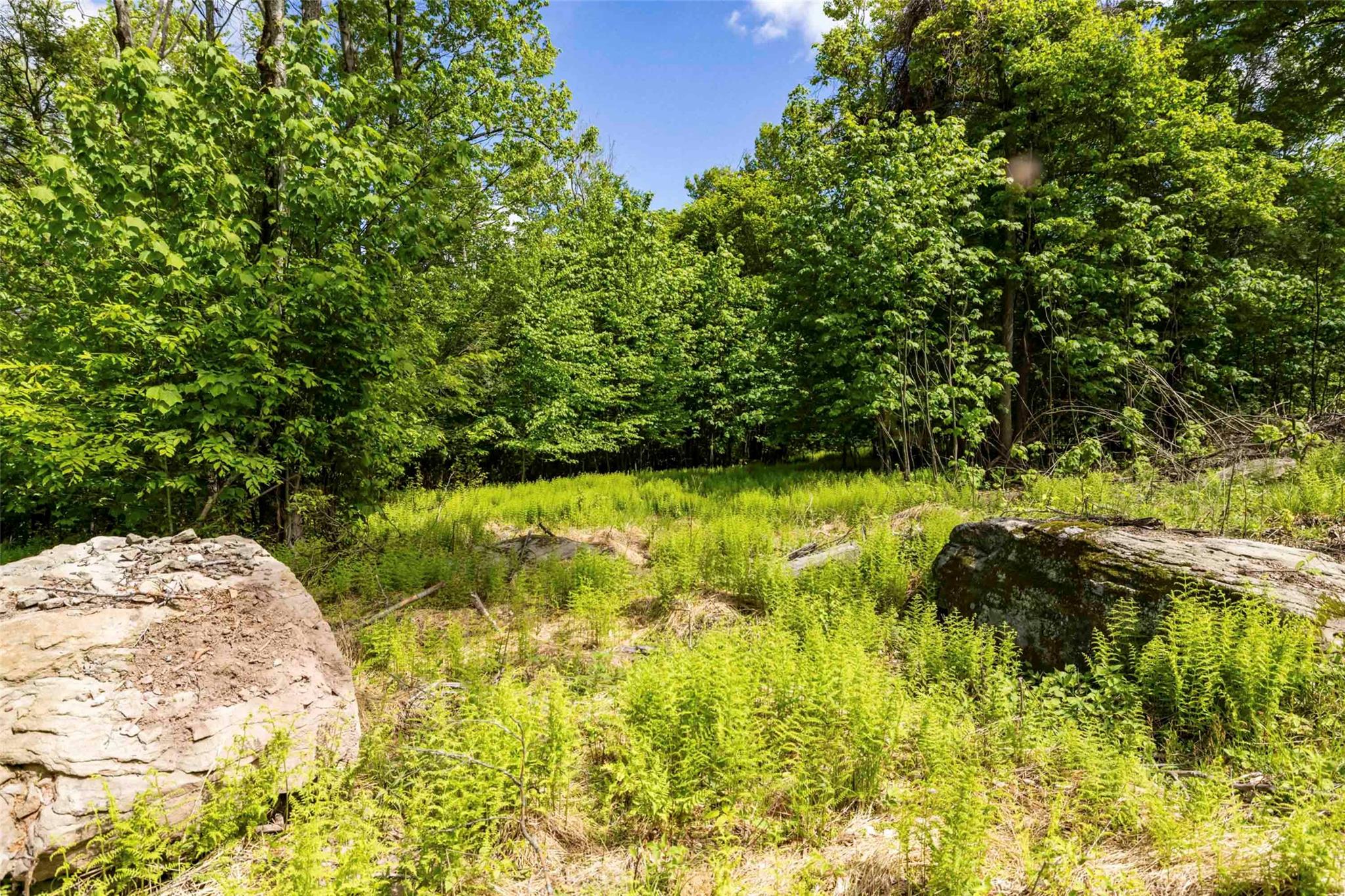 3 Red Rock Road Property Photo 7