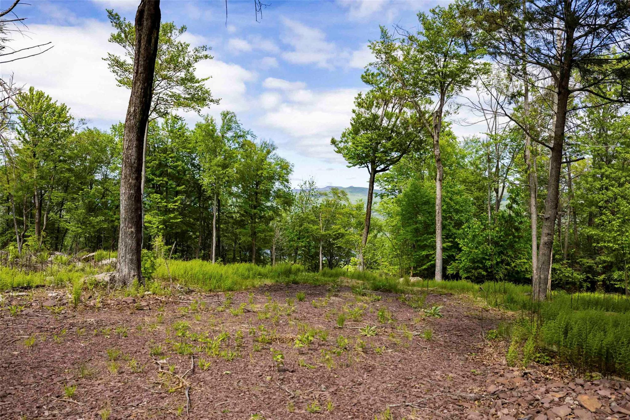 3 Red Rock Road Property Photo 10