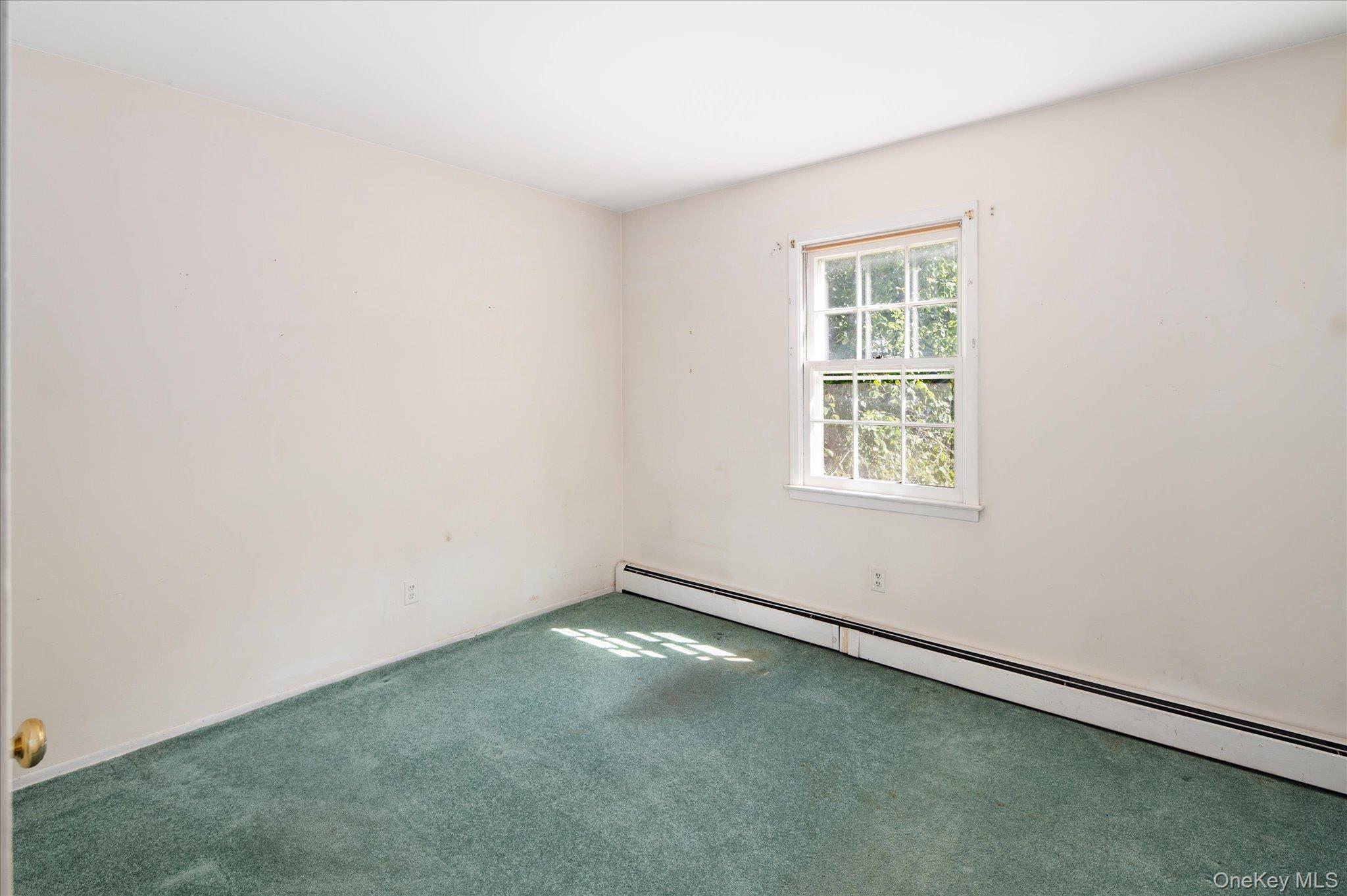 45 Laurelton Road Property Photo 16