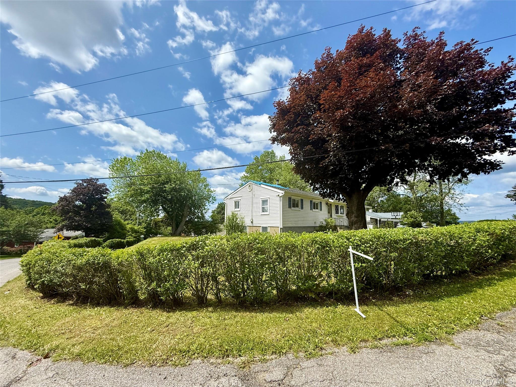 17 Wilson Road Property Photo 29