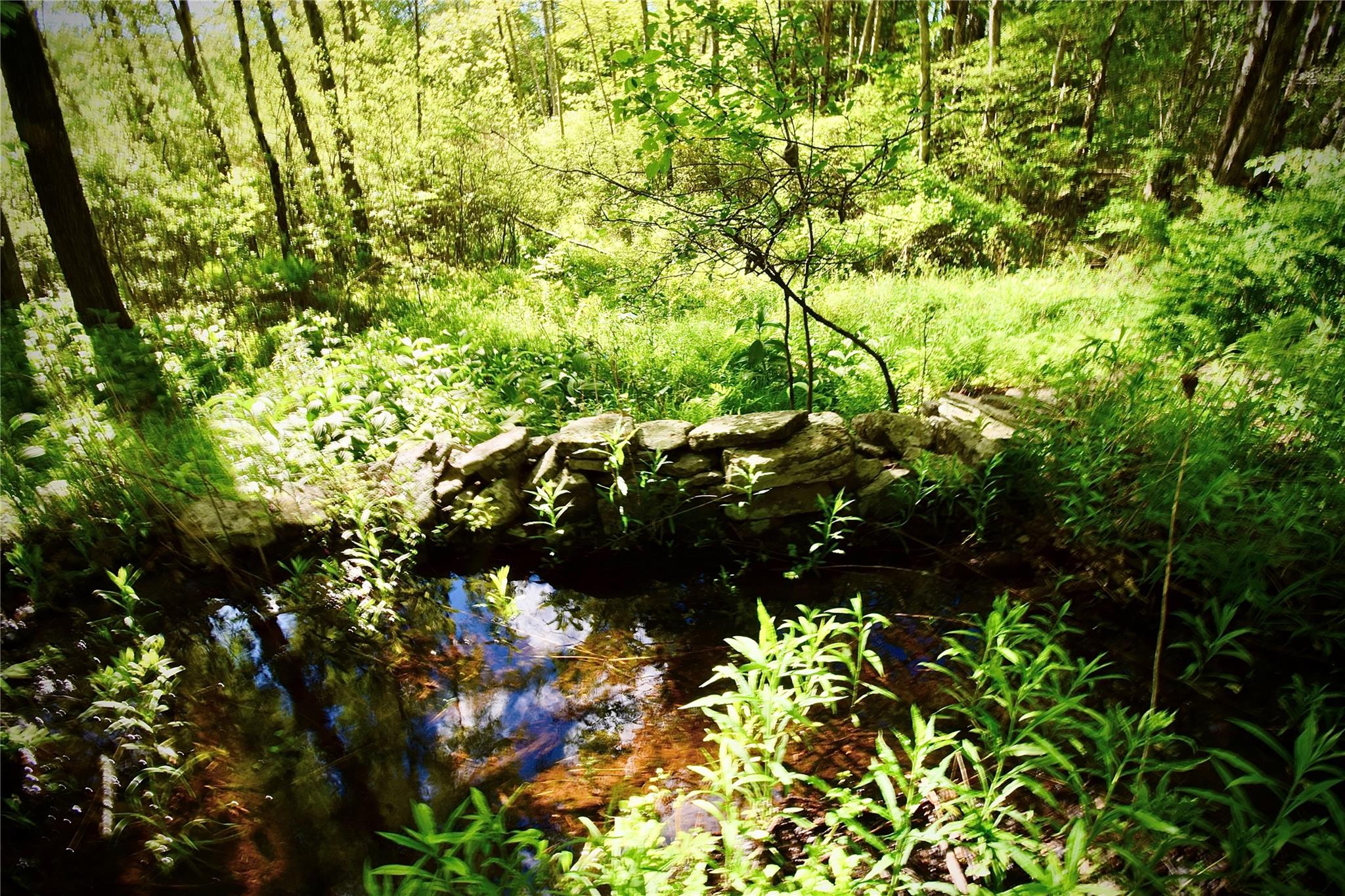 Rt. 52 Property Photo 12