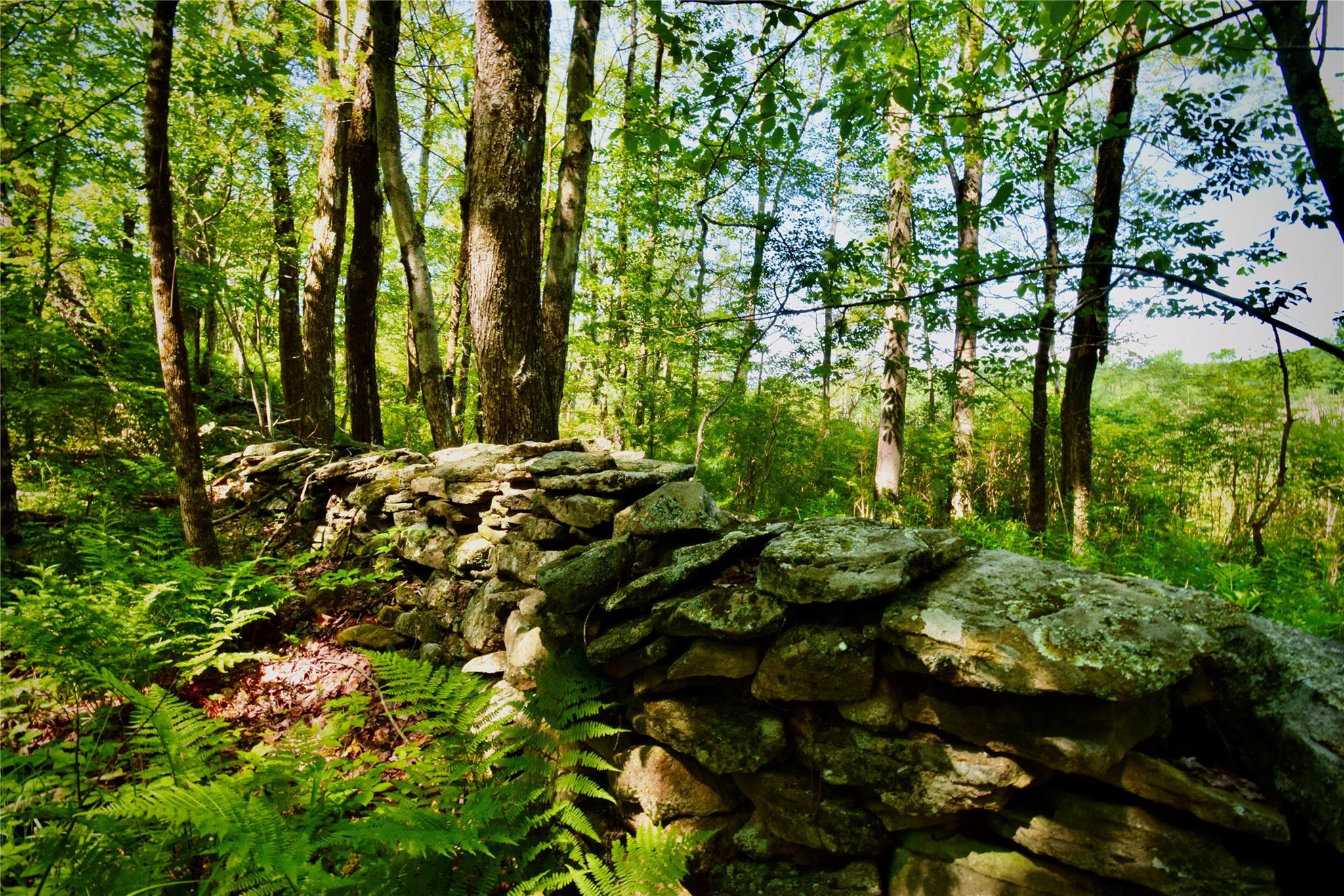 Rt. 52 Property Photo 15