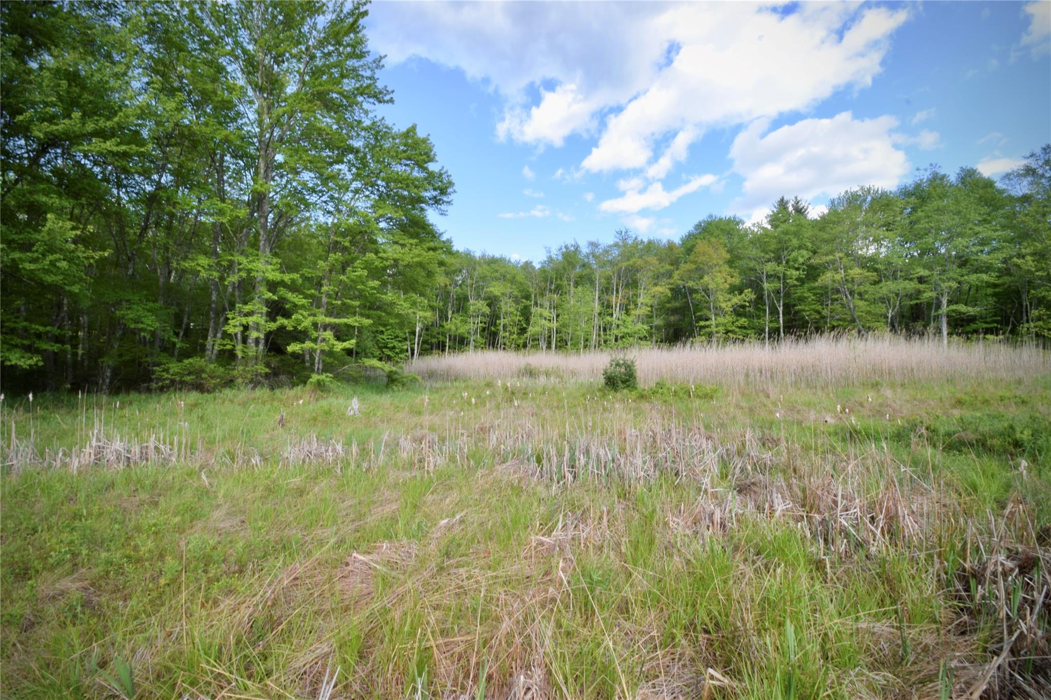 Rt. 52 Property Photo 18