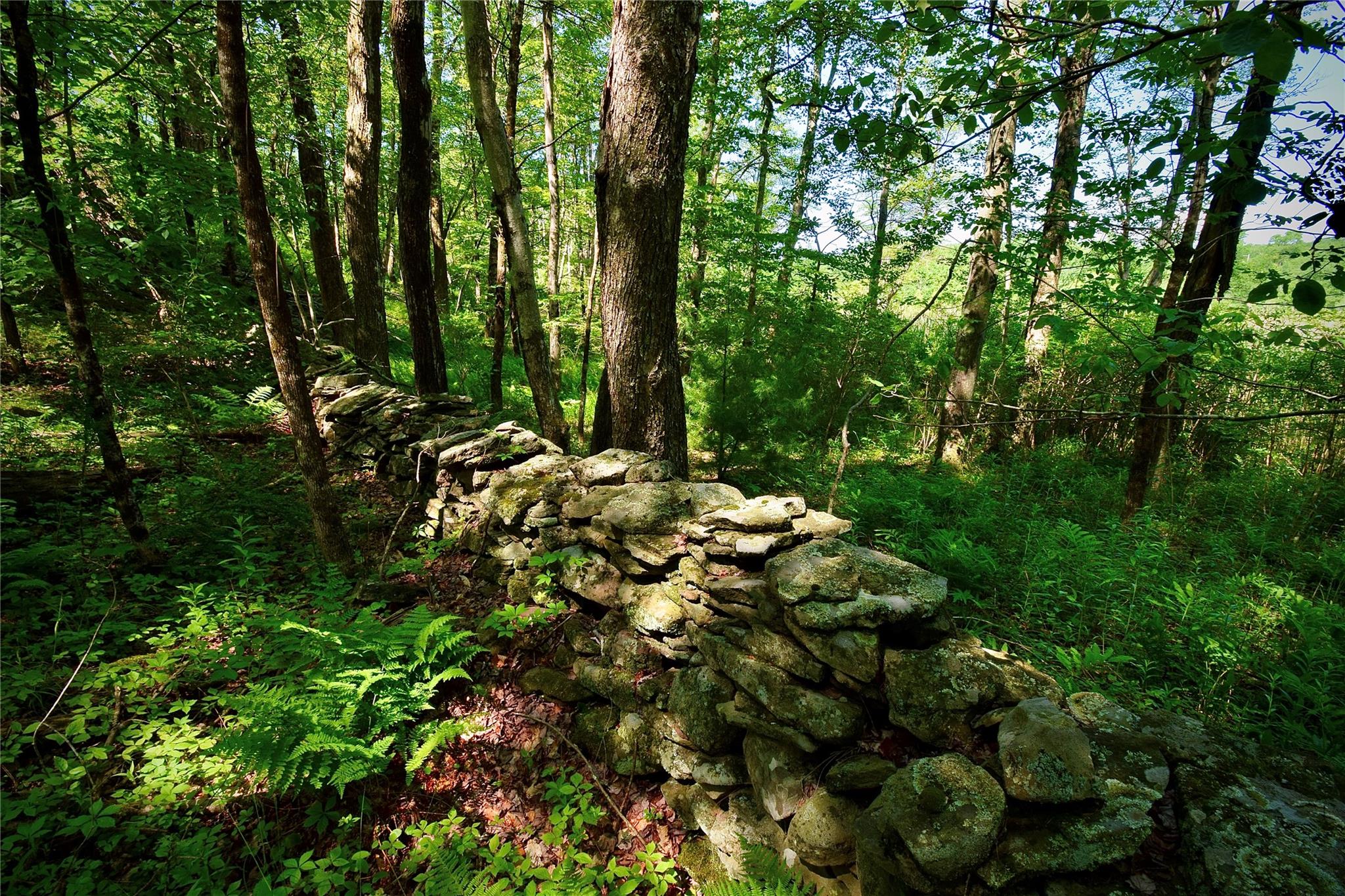 Rt. 52 Property Photo 20