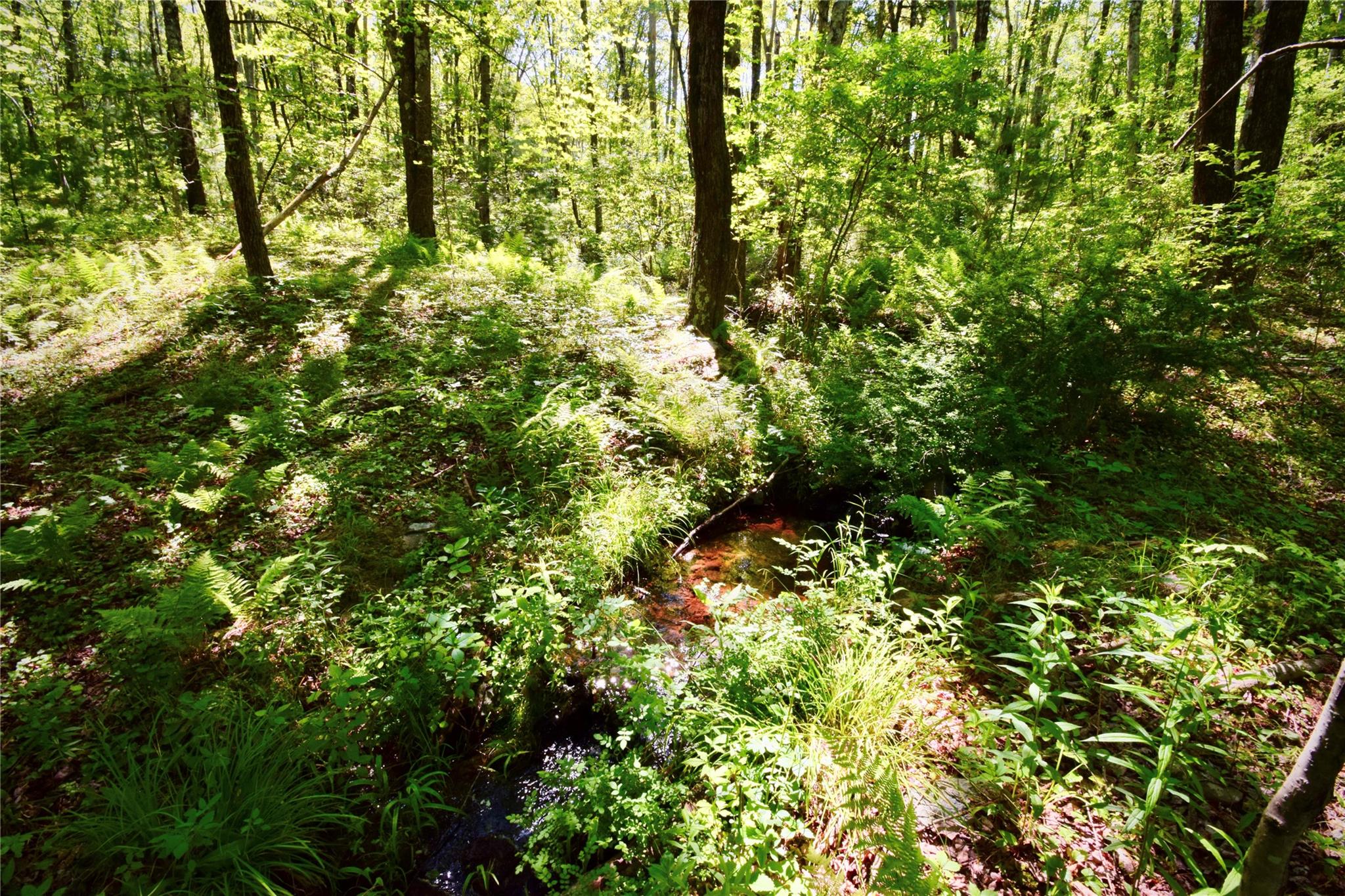 Rt. 52 Property Photo 21