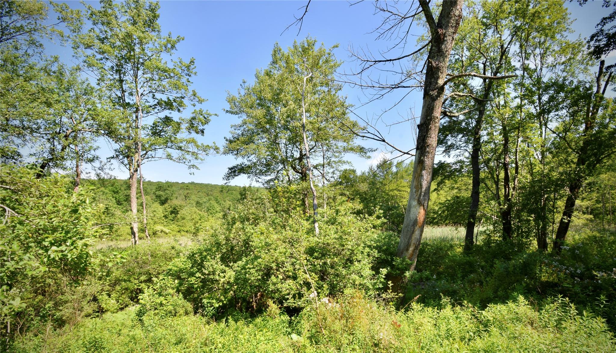 Rt. 52 Property Photo 24