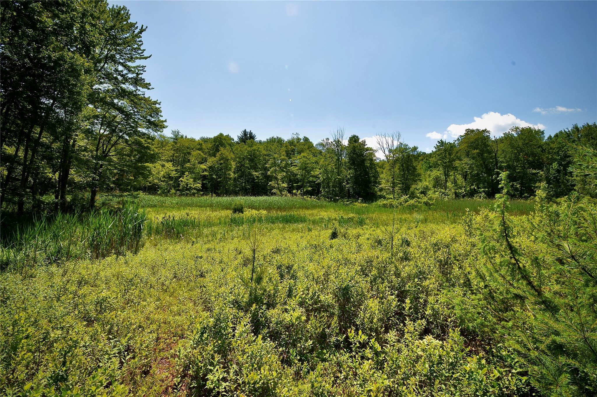 Rt. 52 Property Photo 25