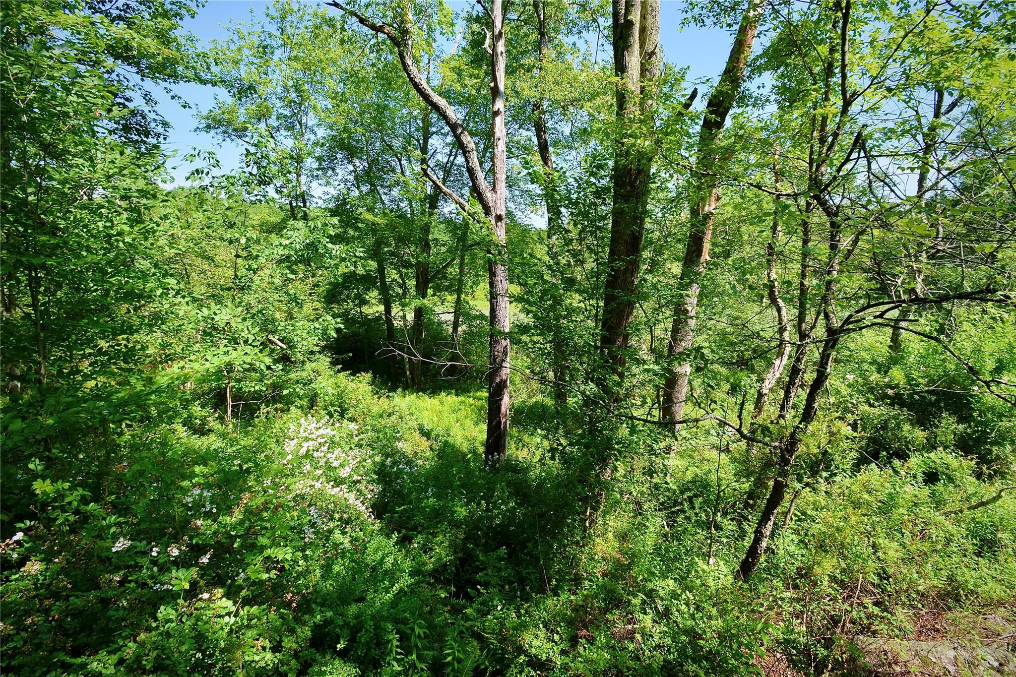 Rt. 52 Property Photo 26