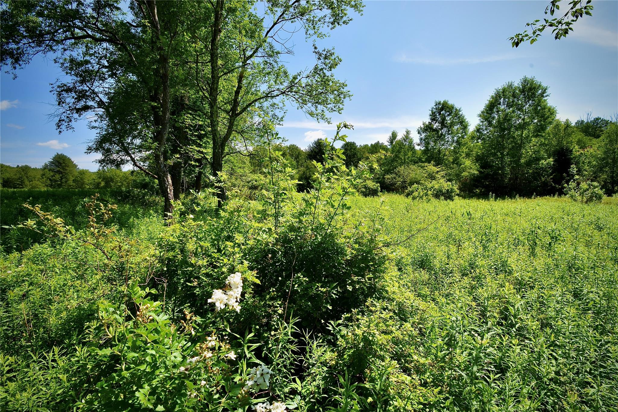 Rt. 52 Property Photo 30