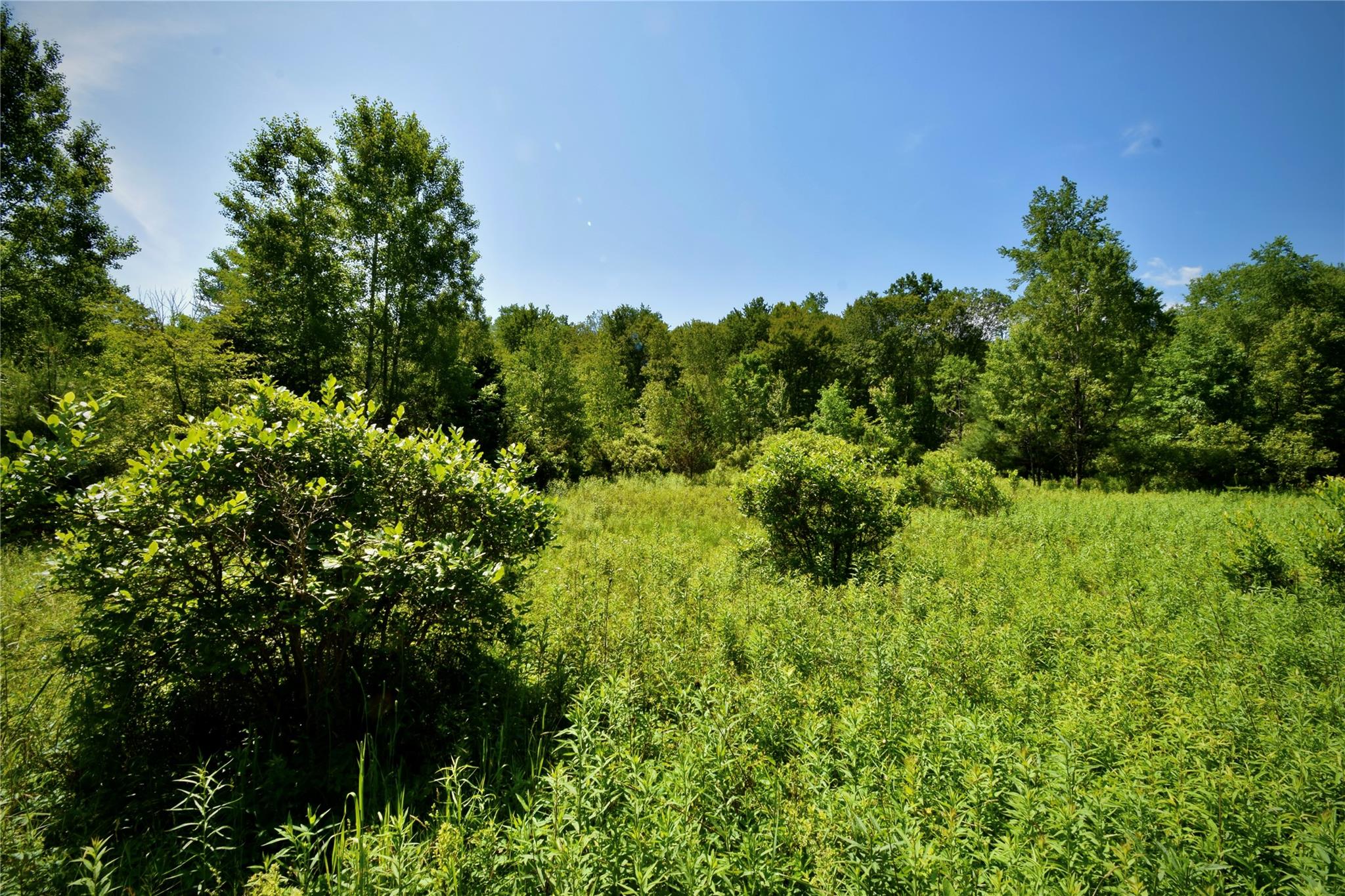 Rt. 52 Property Photo 31