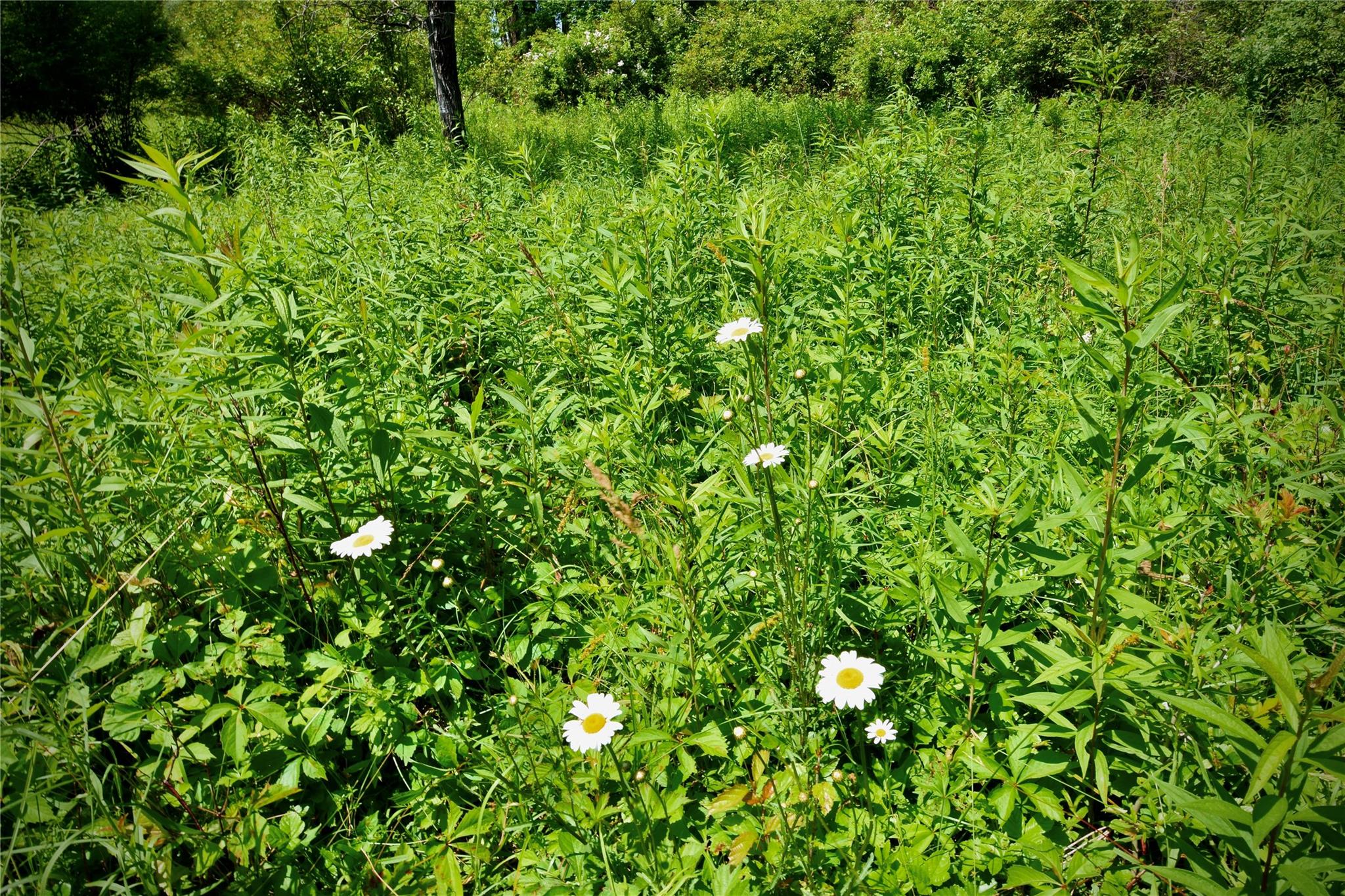 Rt. 52 Property Photo 32