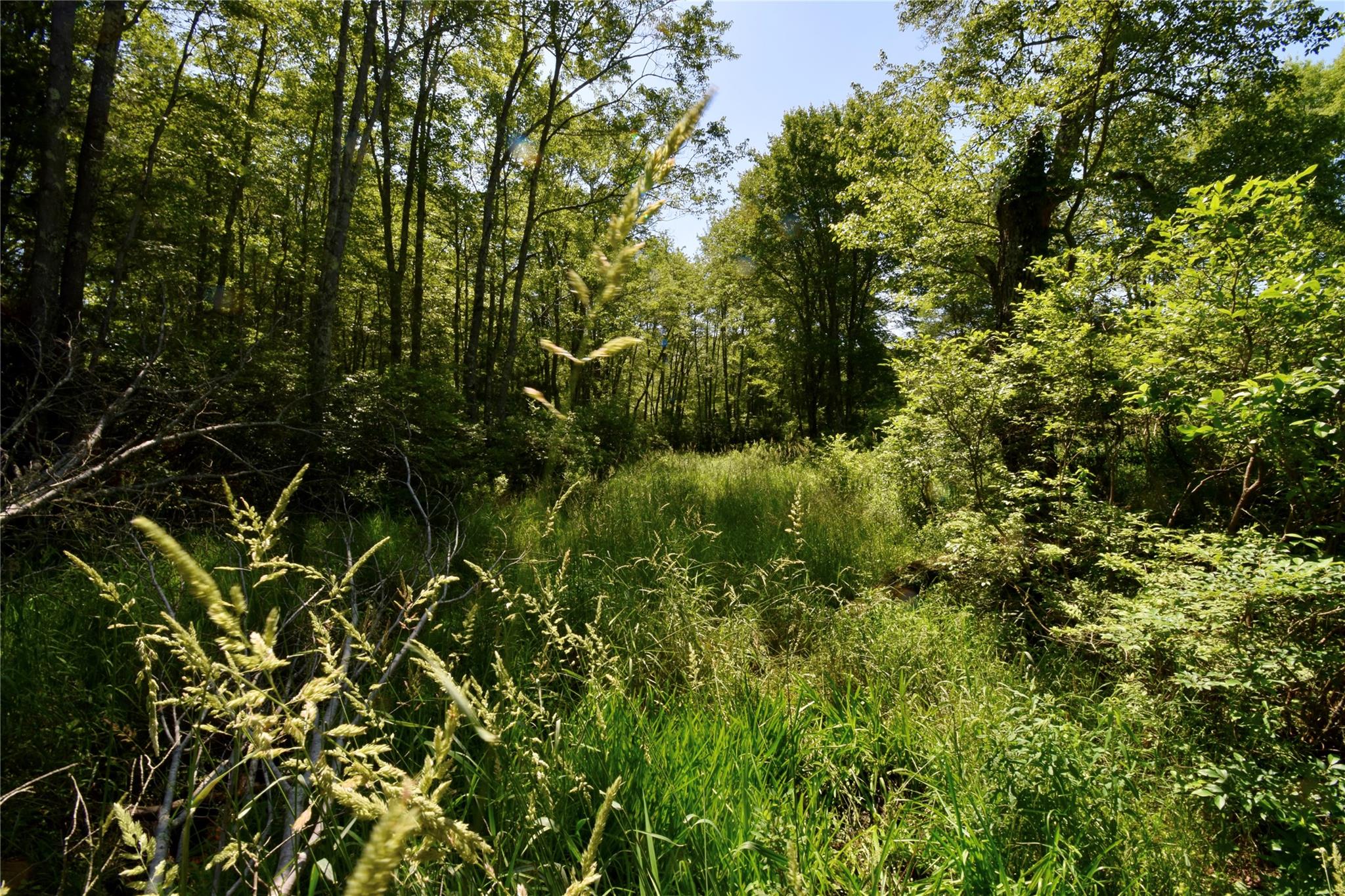 Rt. 52 Property Photo 37