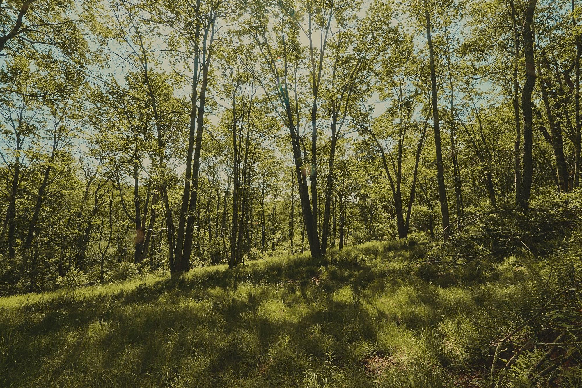 00 Benton Hollow Property Photo 1