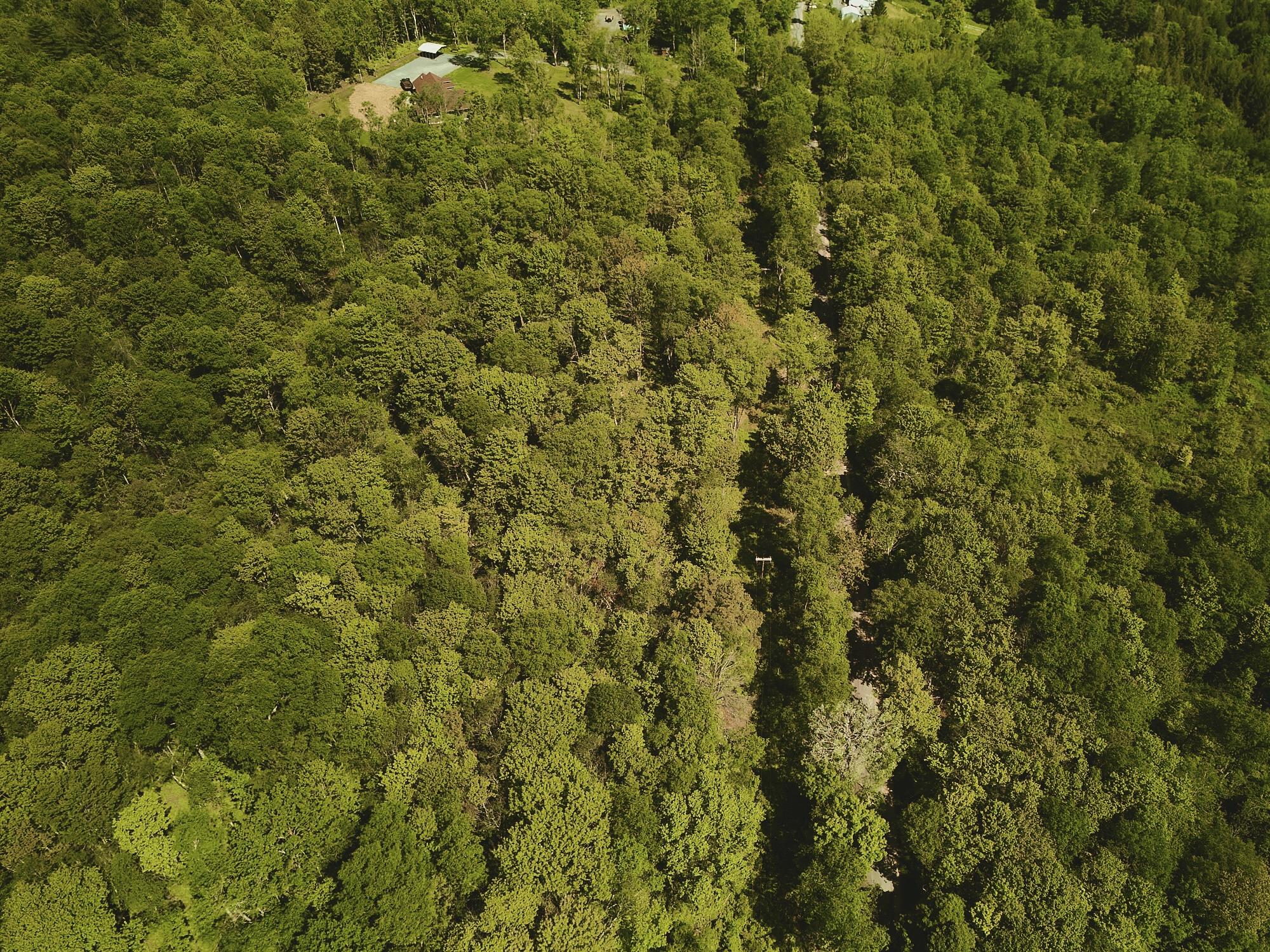 00 Benton Hollow Property Photo 3