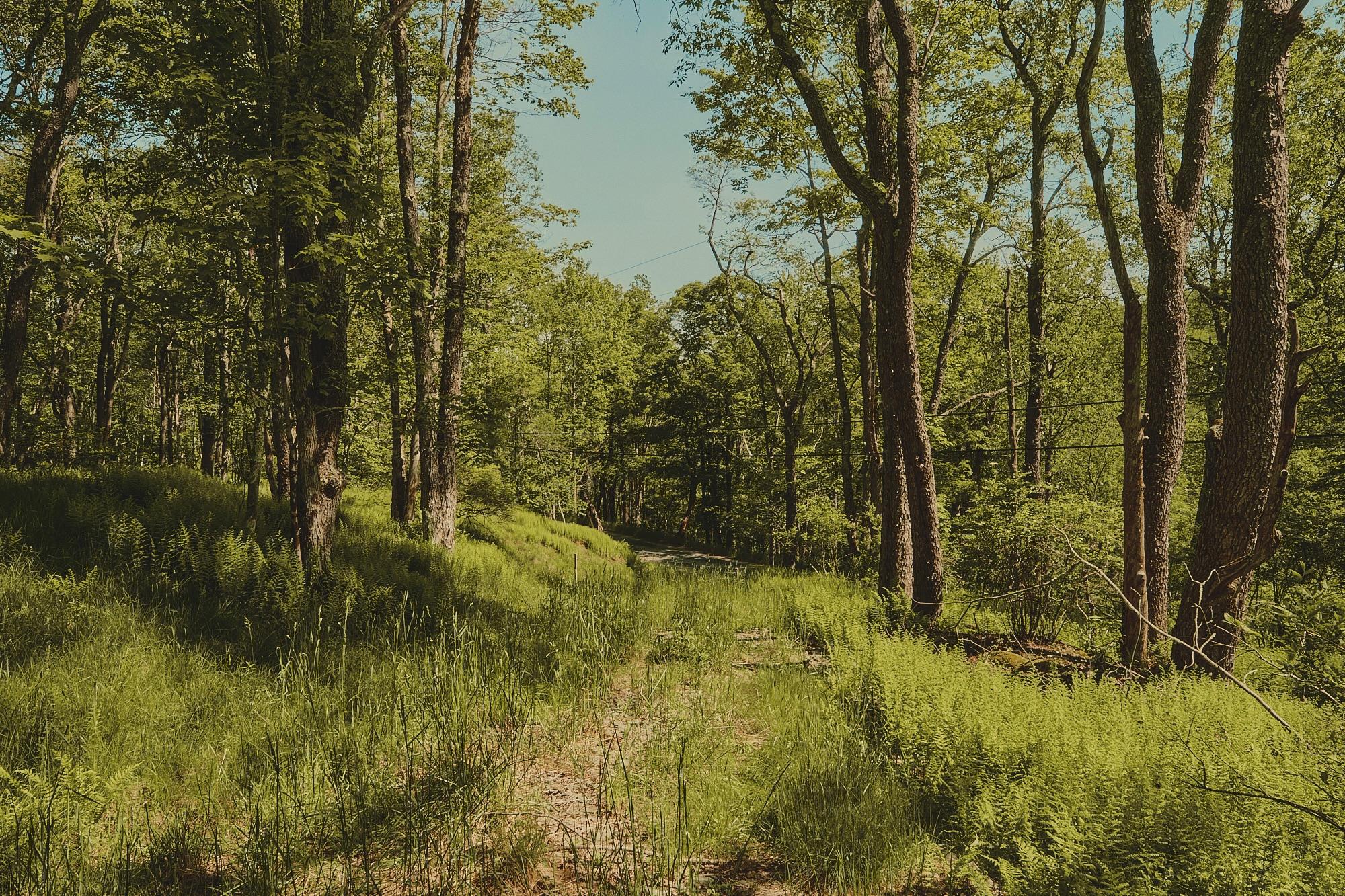 00 Benton Hollow Property Photo 6