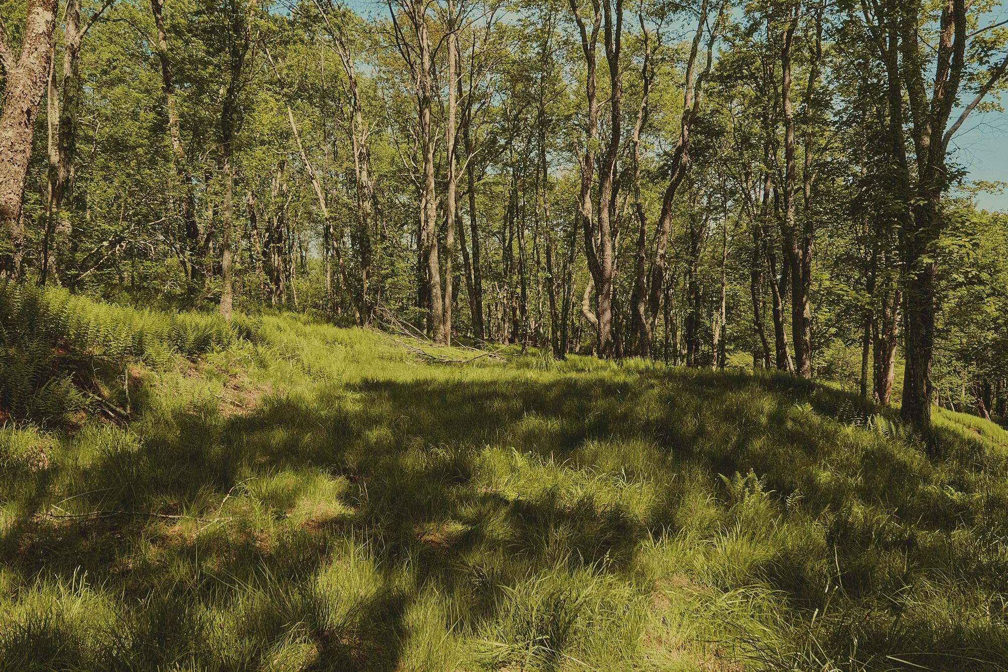 00 Benton Hollow Property Photo 9